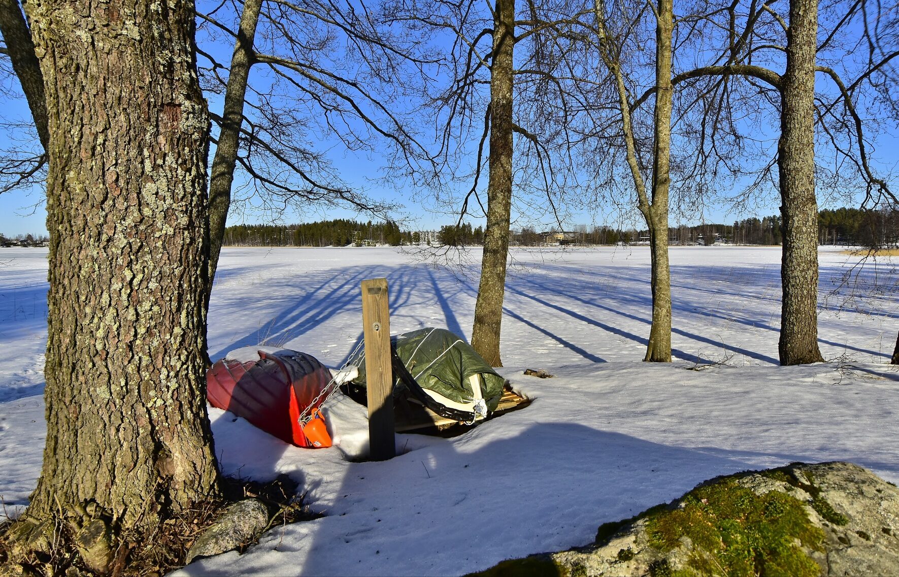 Valokuvaaja: Markku Pelkonen
