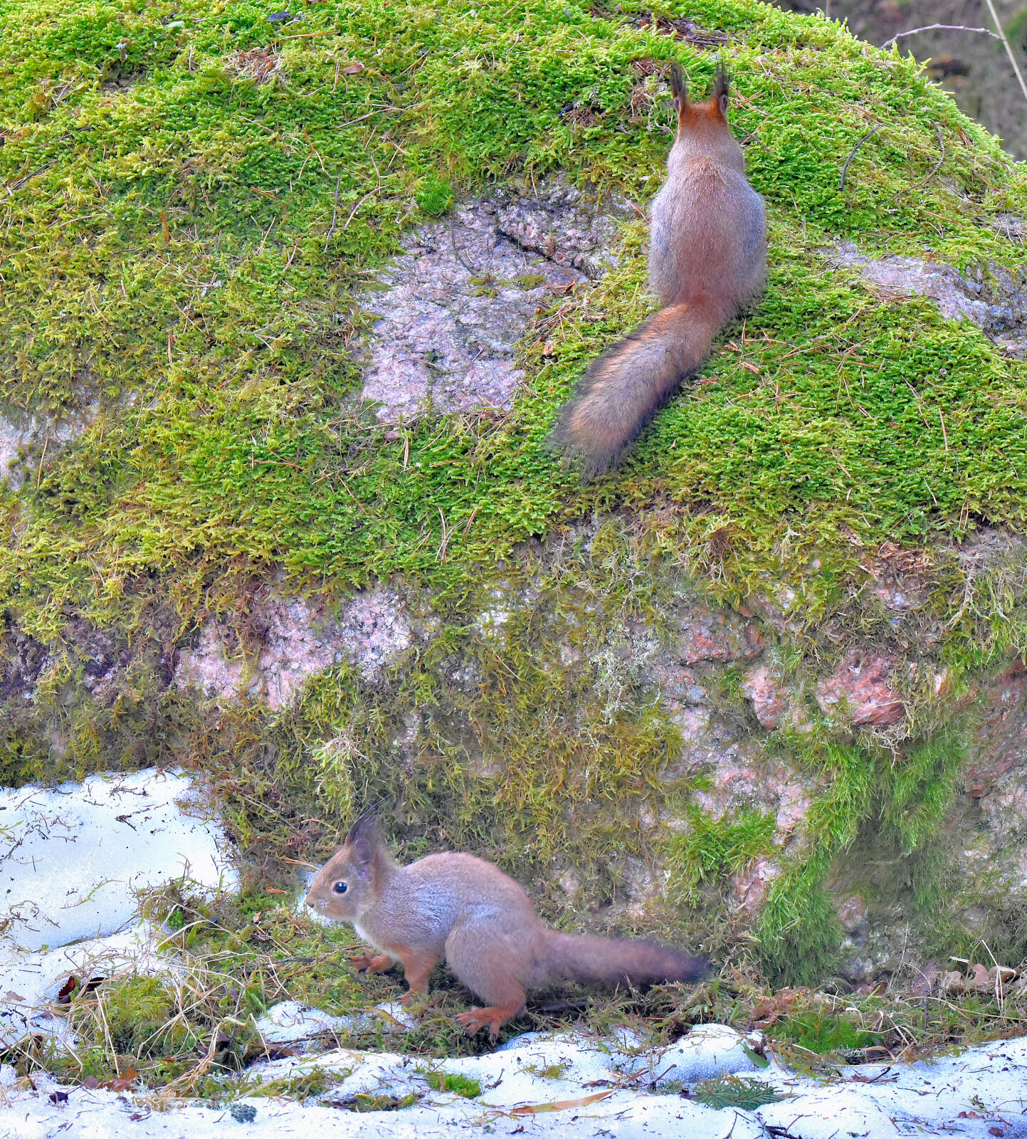 Valokuvaaja: Reijo Juurinen