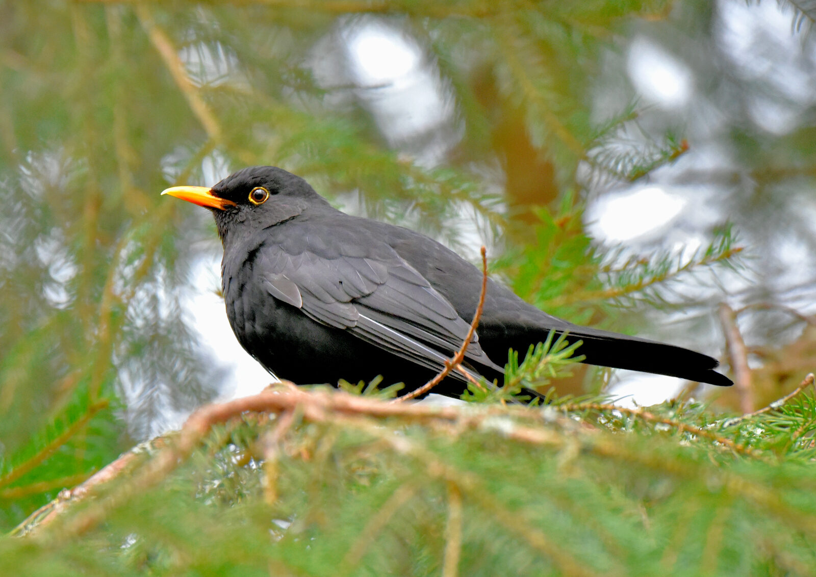 Valokuvaaja: Reijo Juurinen