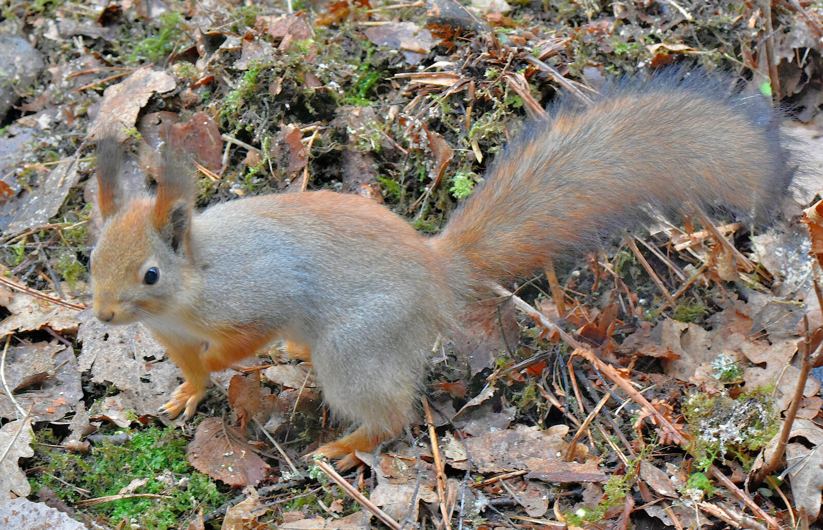Valokuvaaja: Reijo Juurinen
