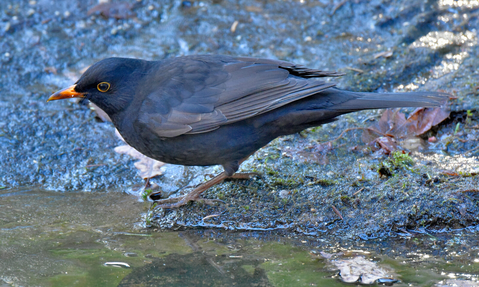 Valokuvaaja: Reijo Juurinen