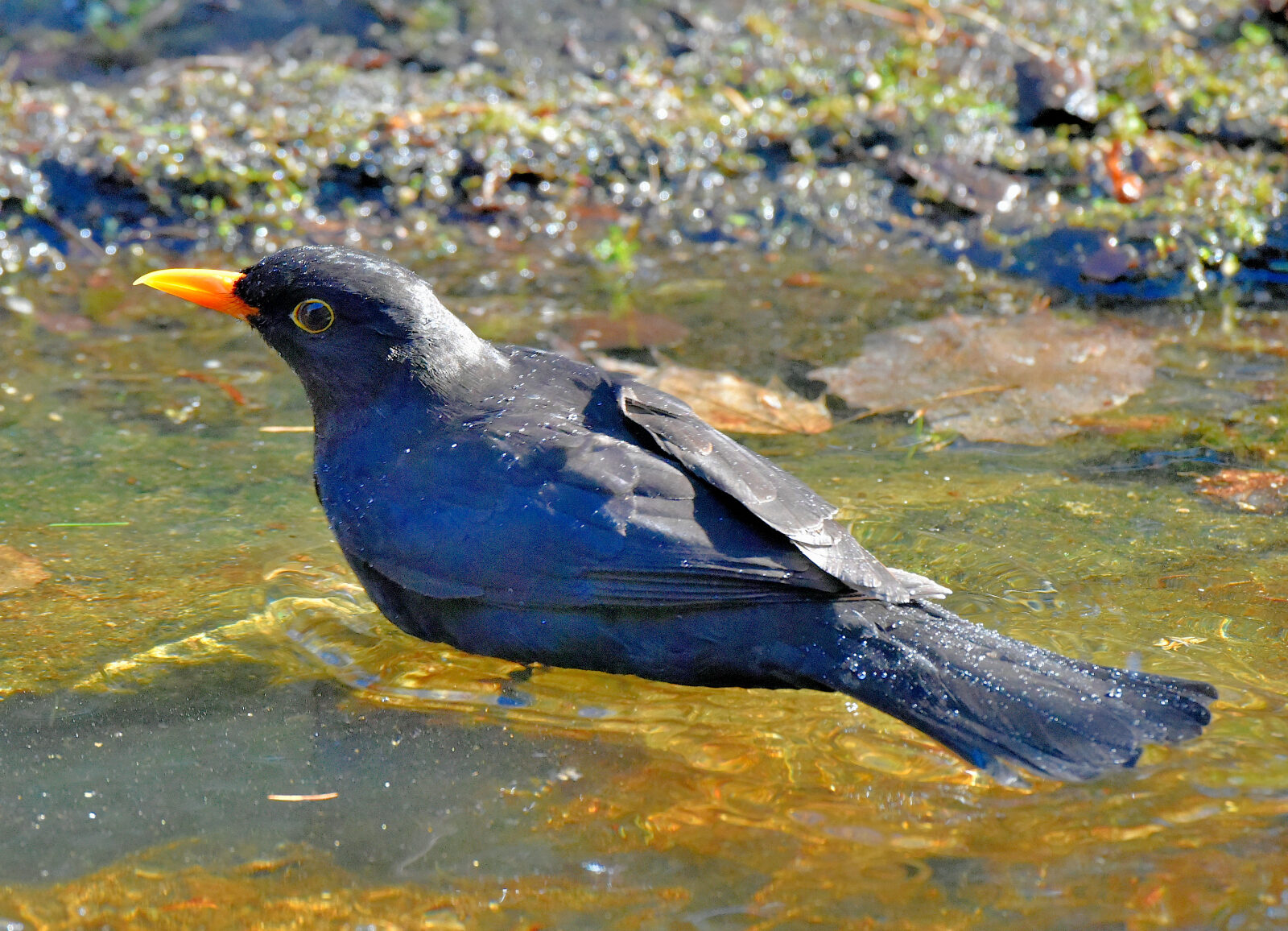Valokuvaaja: Reijo Juurinen
