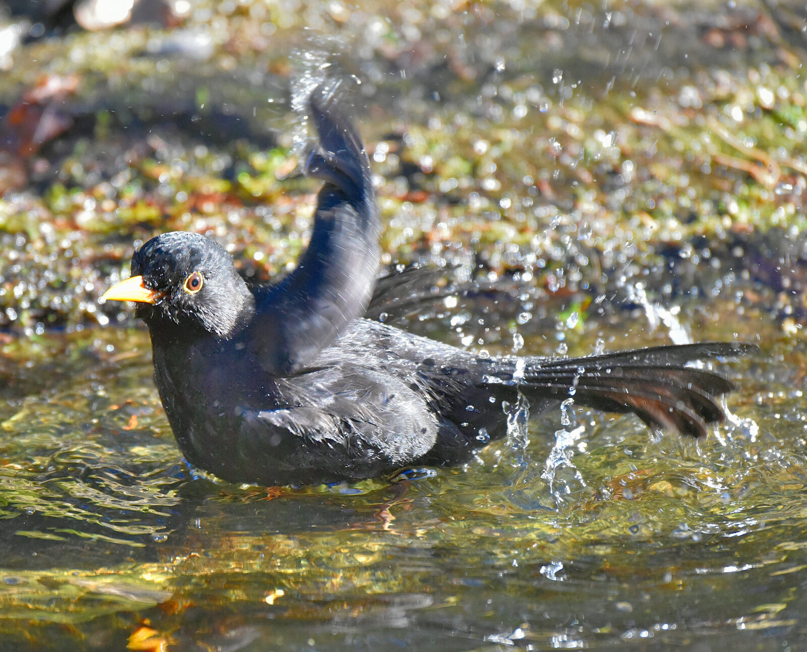 Valokuvaaja: Reijo Juurinen