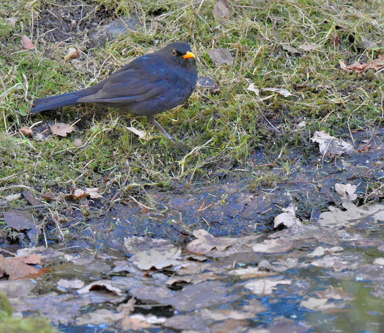 Valokuvaaja: Reijo Juurinen