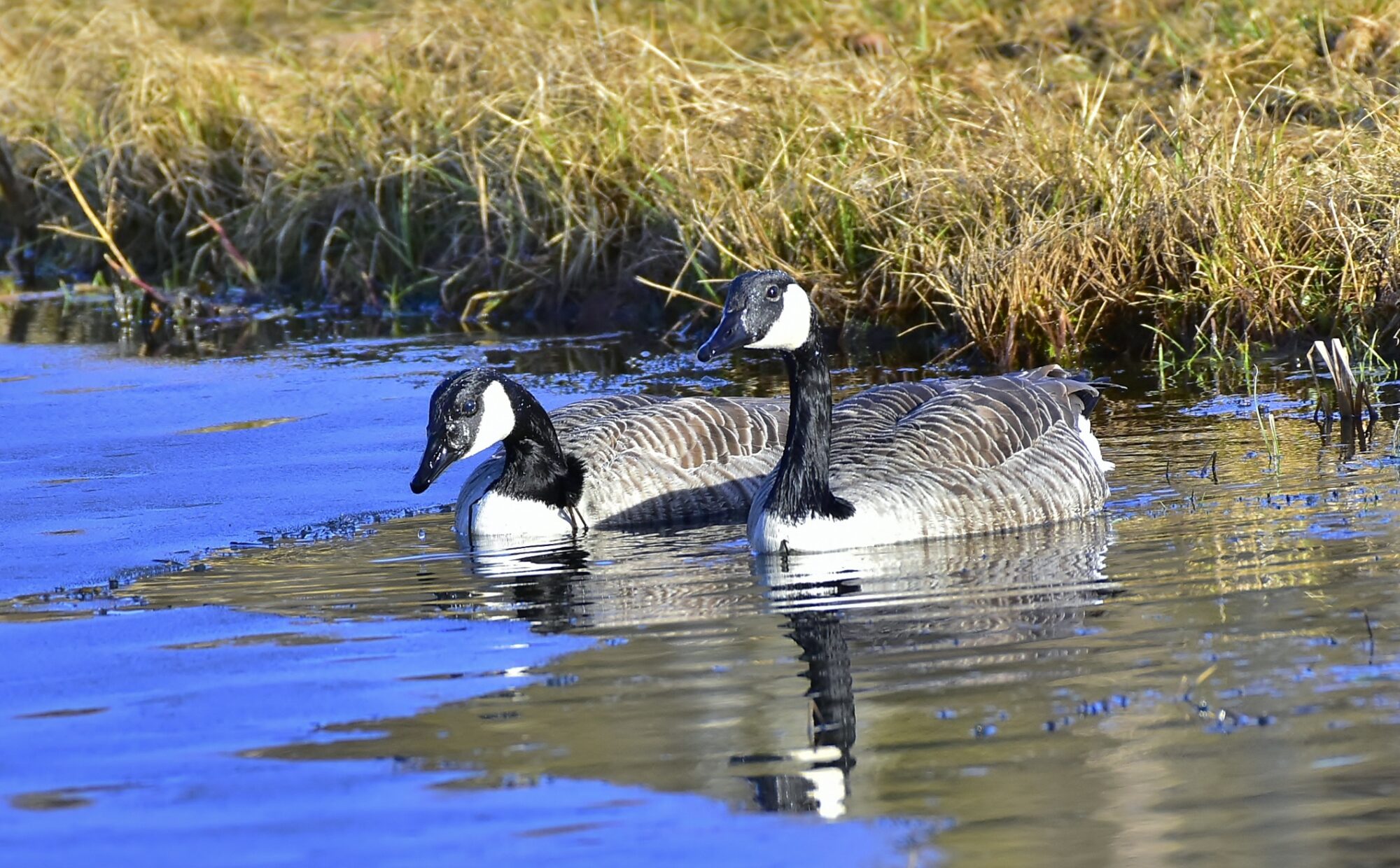 Valokuvaaja: Markku Pelkonen