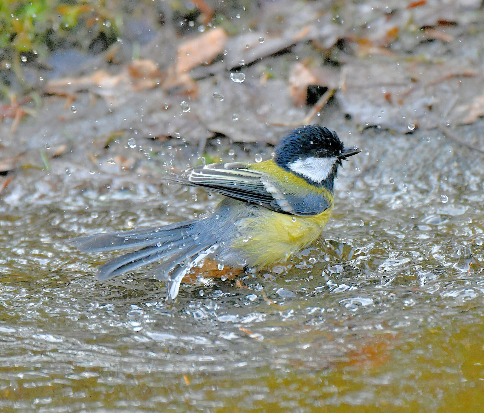 Valokuvaaja: Reijo Juurinen