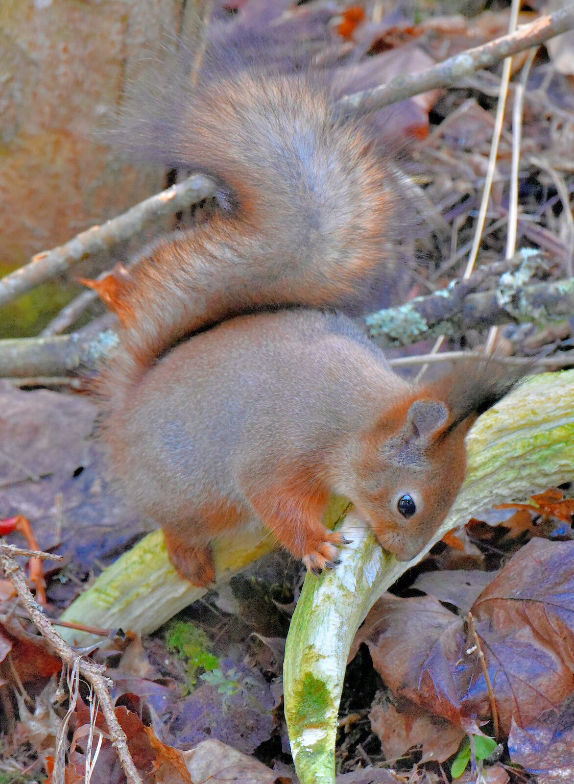 Valokuvaaja: Reijo Juurinen