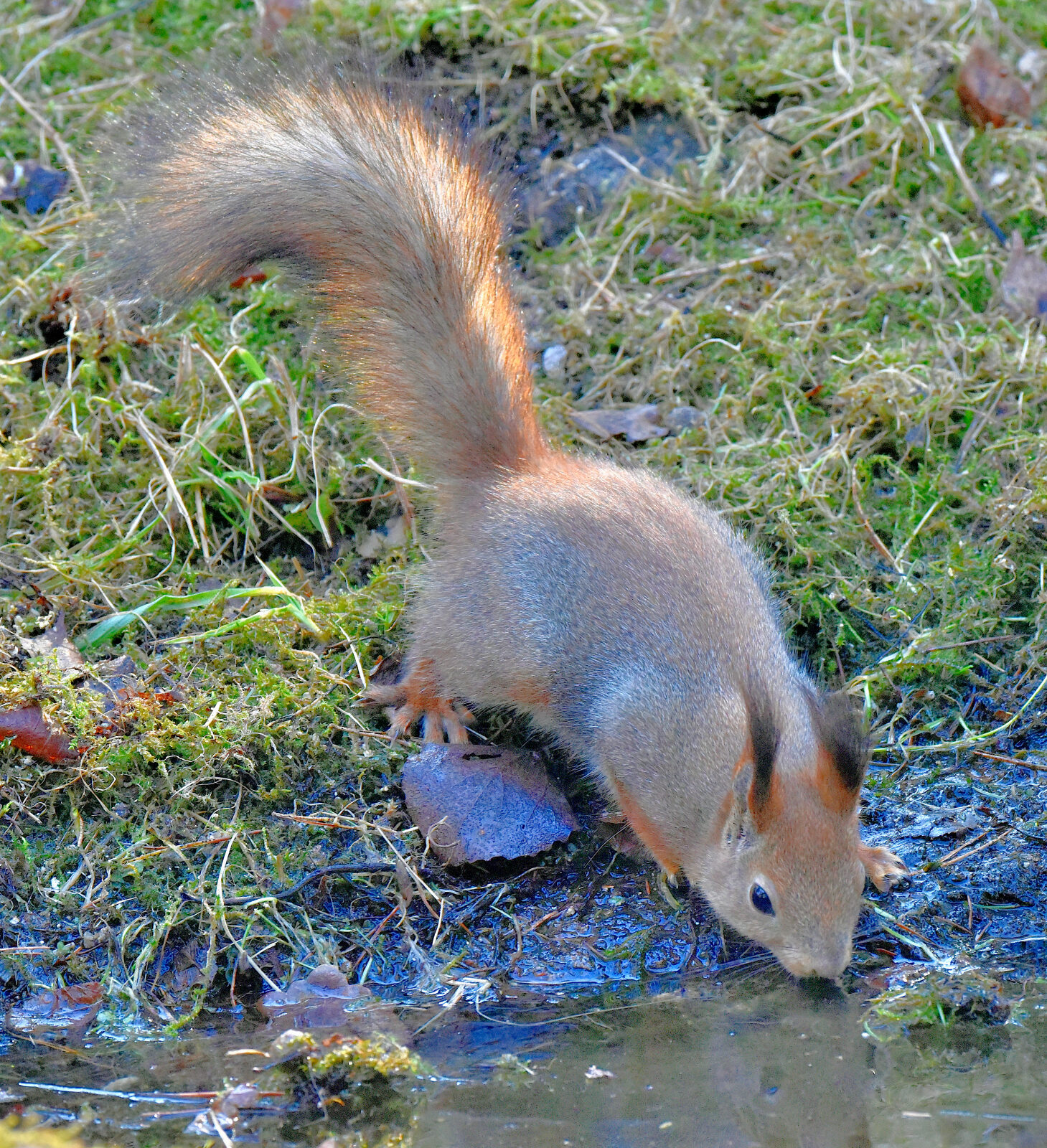 Valokuvaaja: Reijo Juurinen