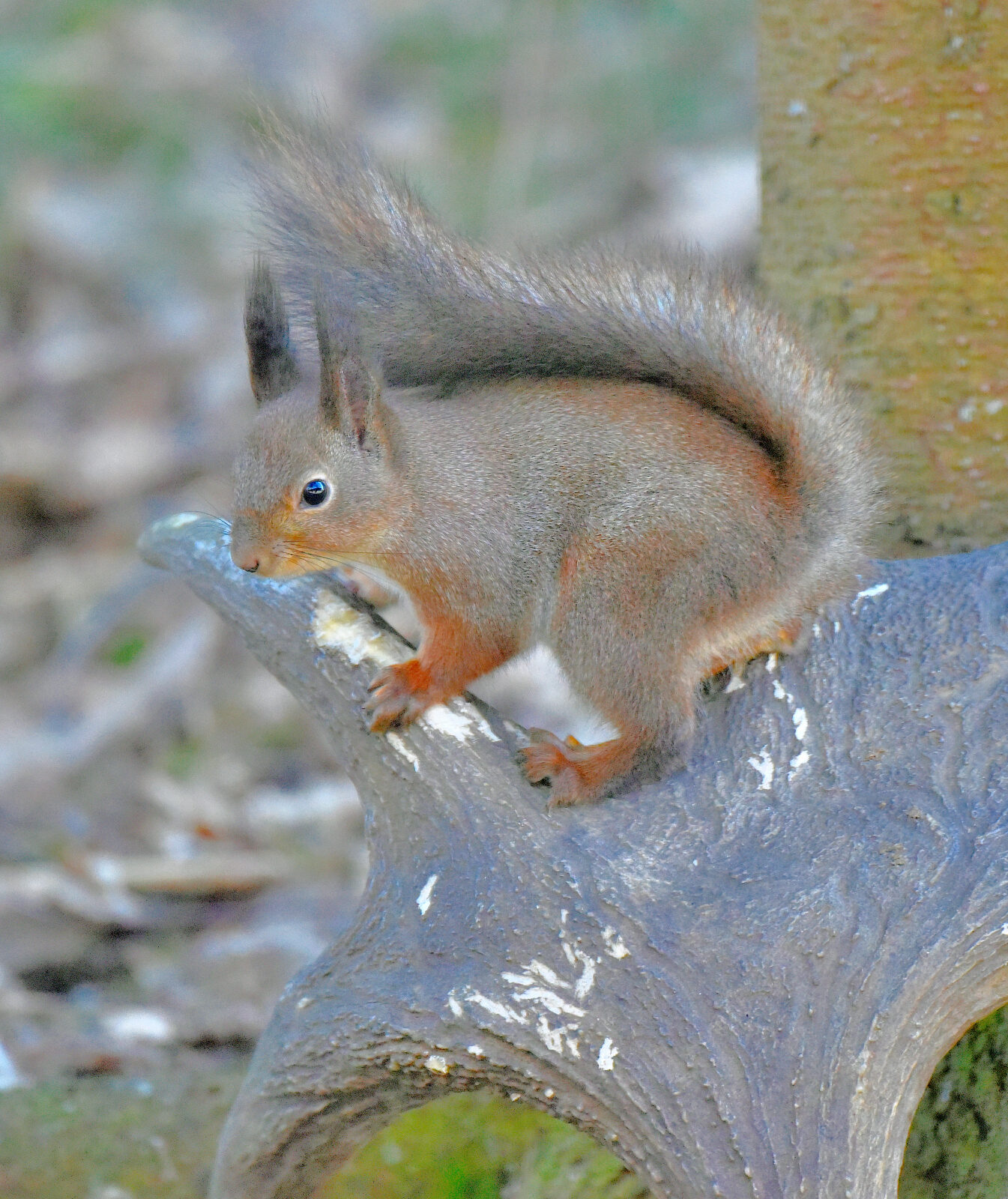 Valokuvaaja: Reijo Juurinen