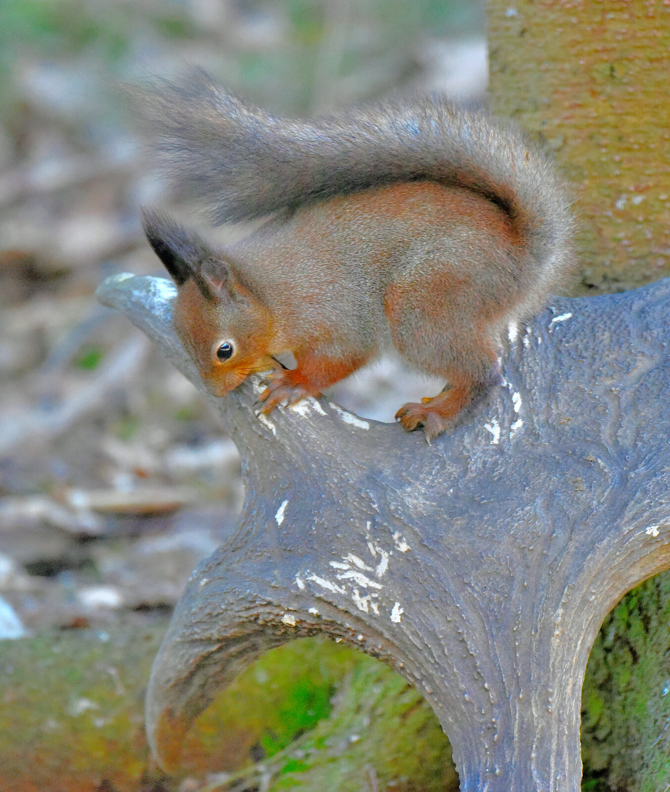 Valokuvaaja: Reijo Juurinen