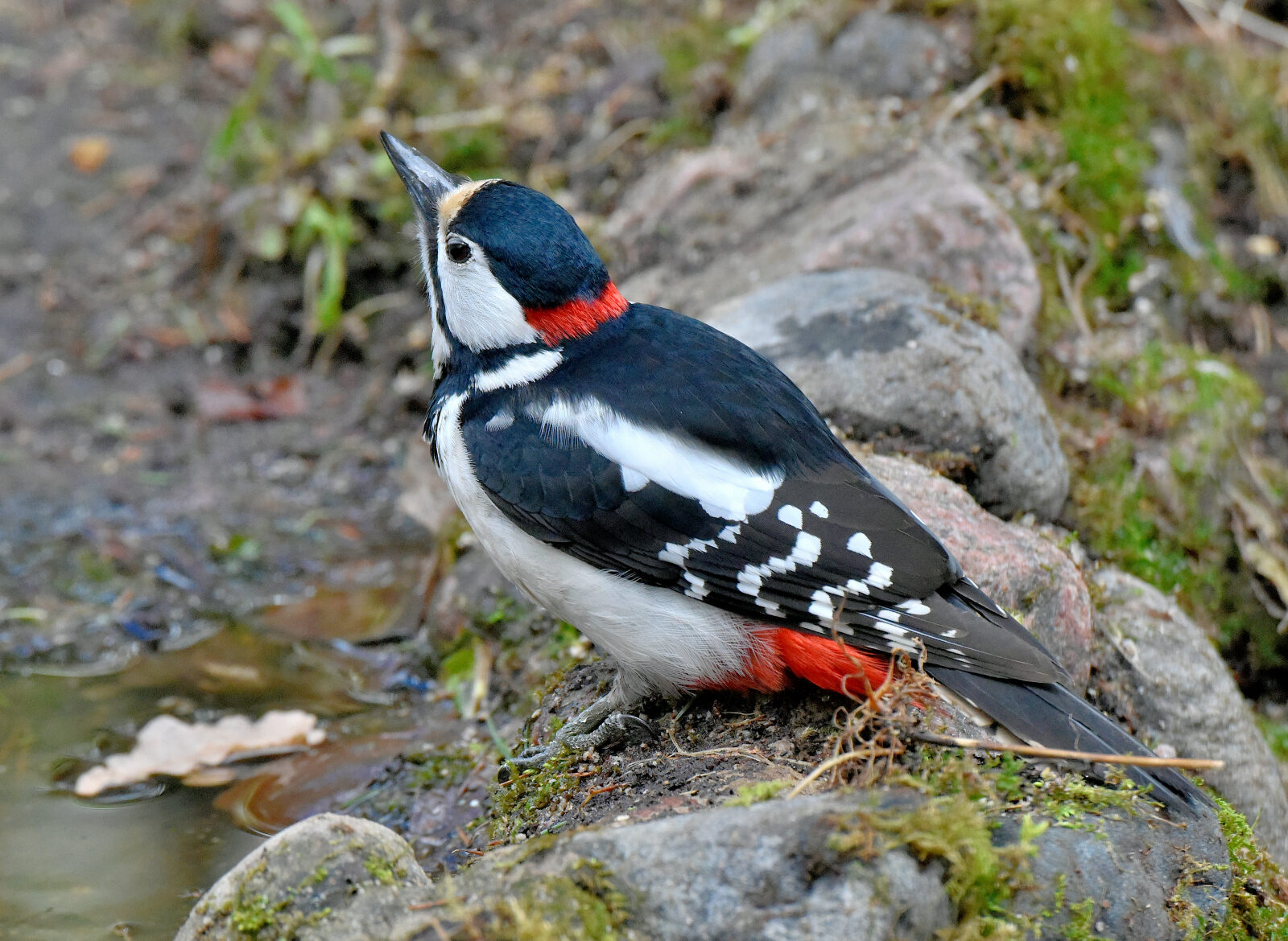 Valokuvaaja: Reijo Juurinen