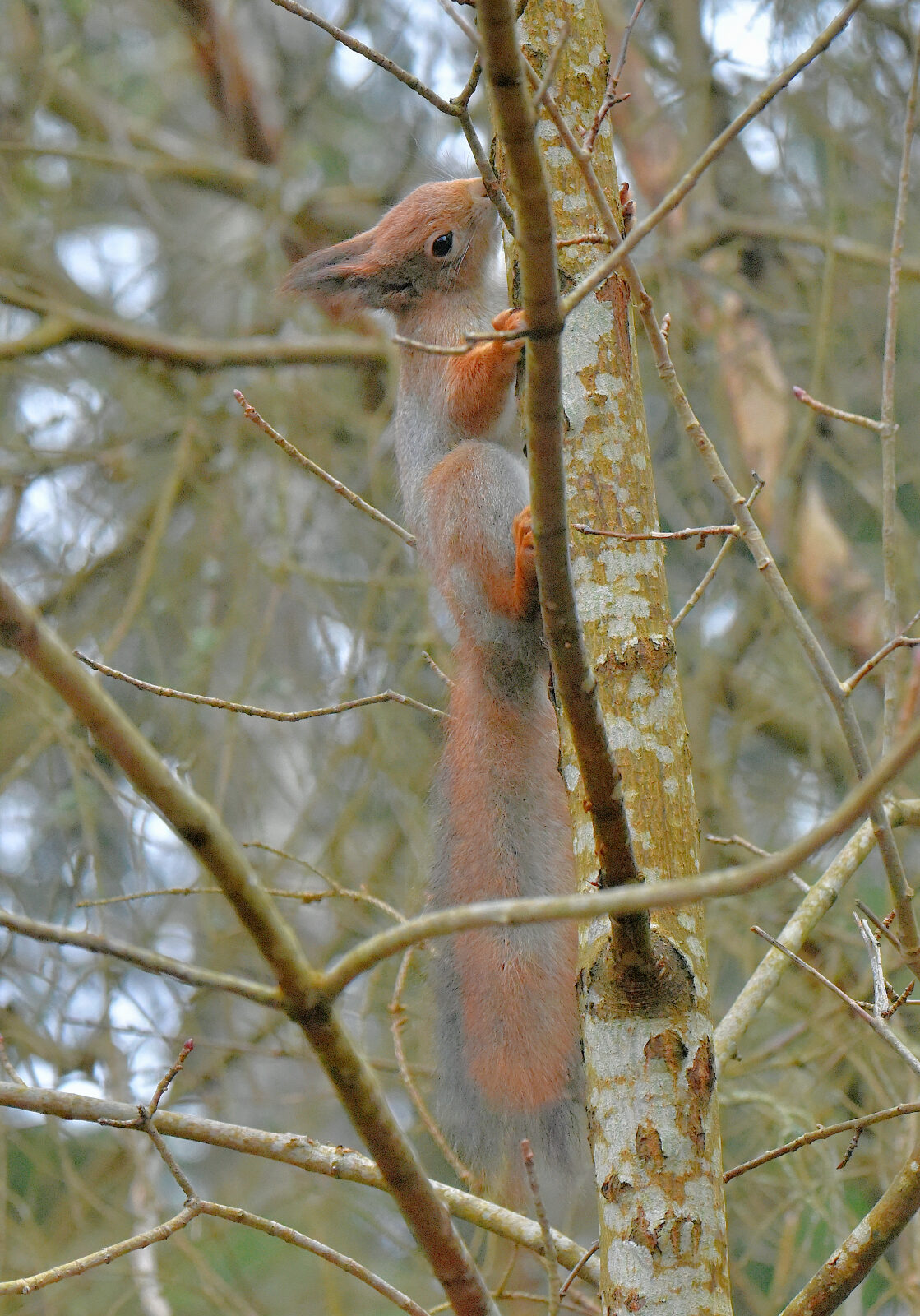 Valokuvaaja: Reijo Juurinen