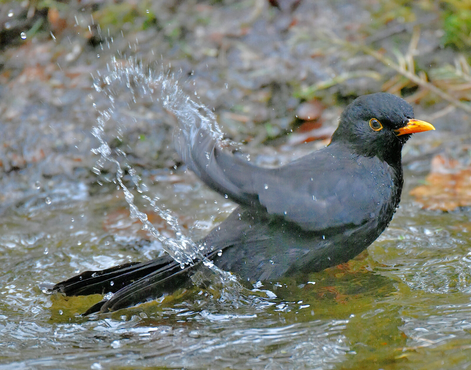 Valokuvaaja: Reijo Juurinen