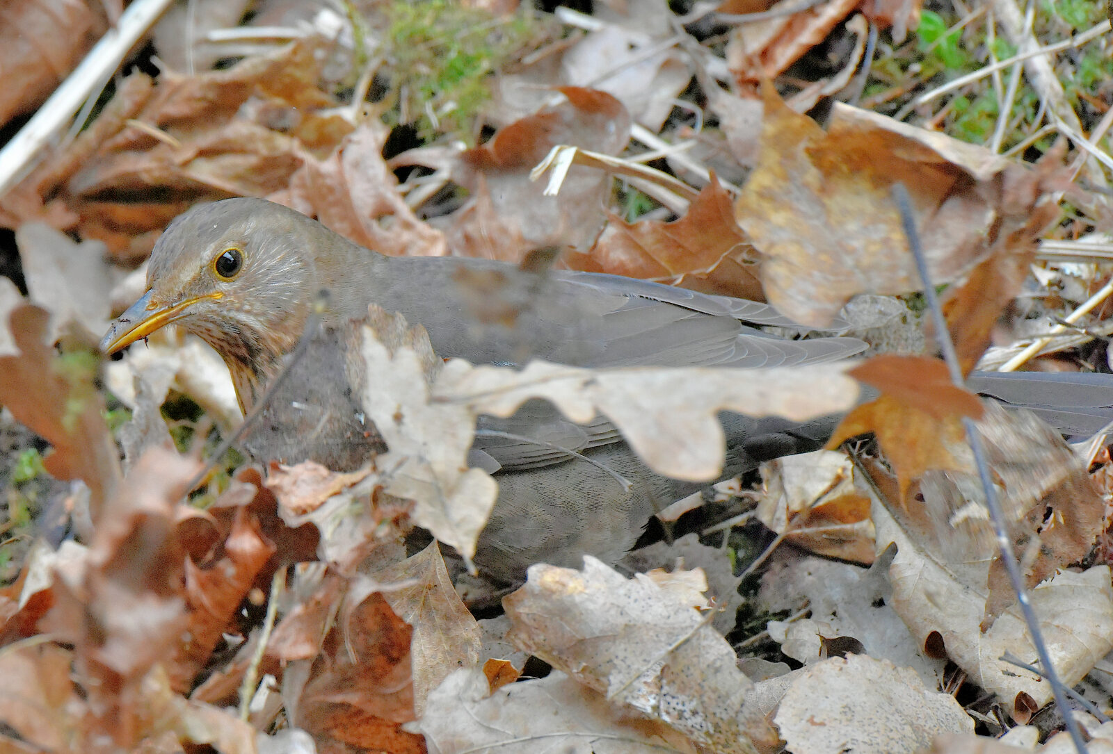 Valokuvaaja: Reijo Juurinen