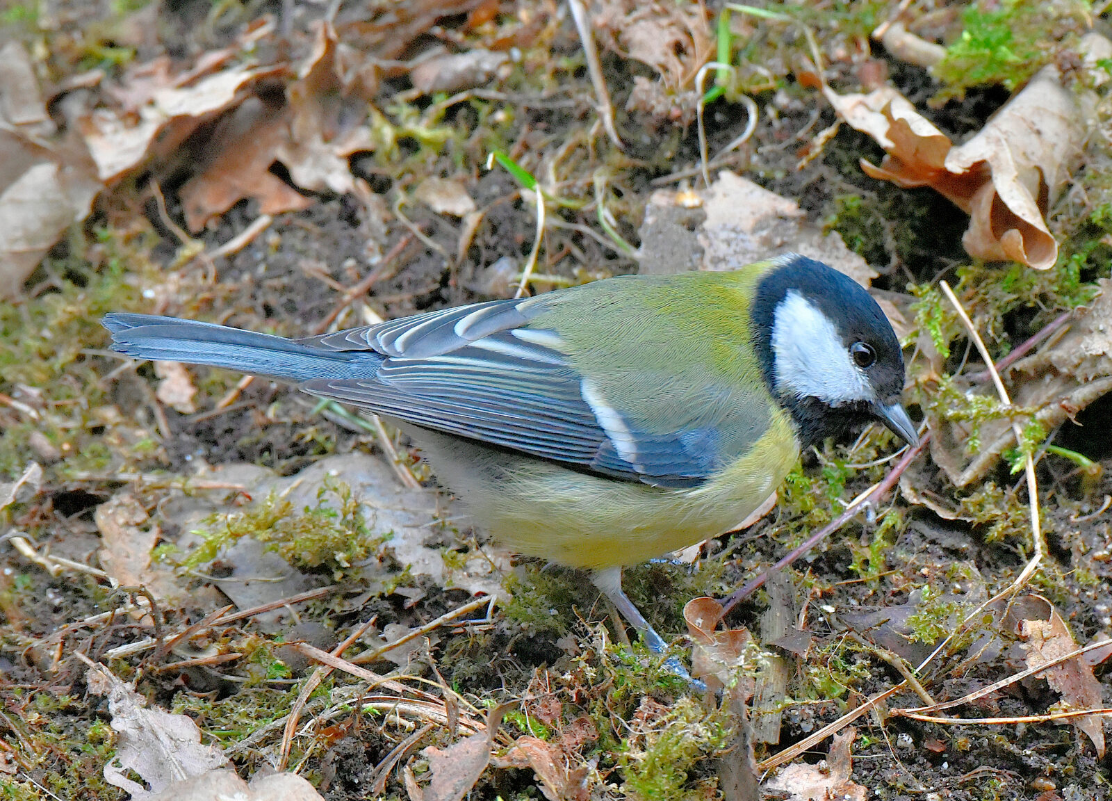 Valokuvaaja: Reijo Juurinen