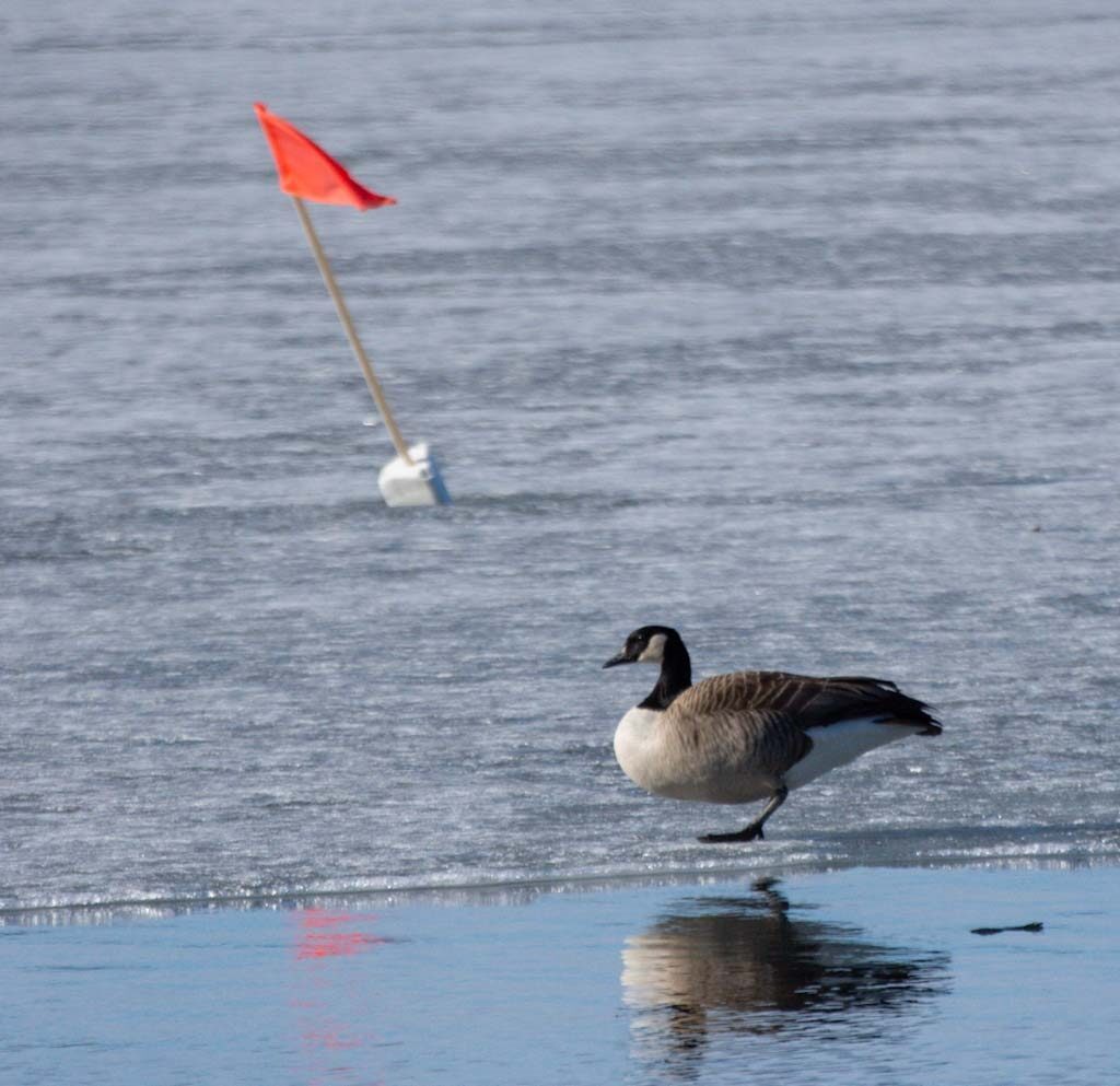Valokuvaaja: Tuula Komsi