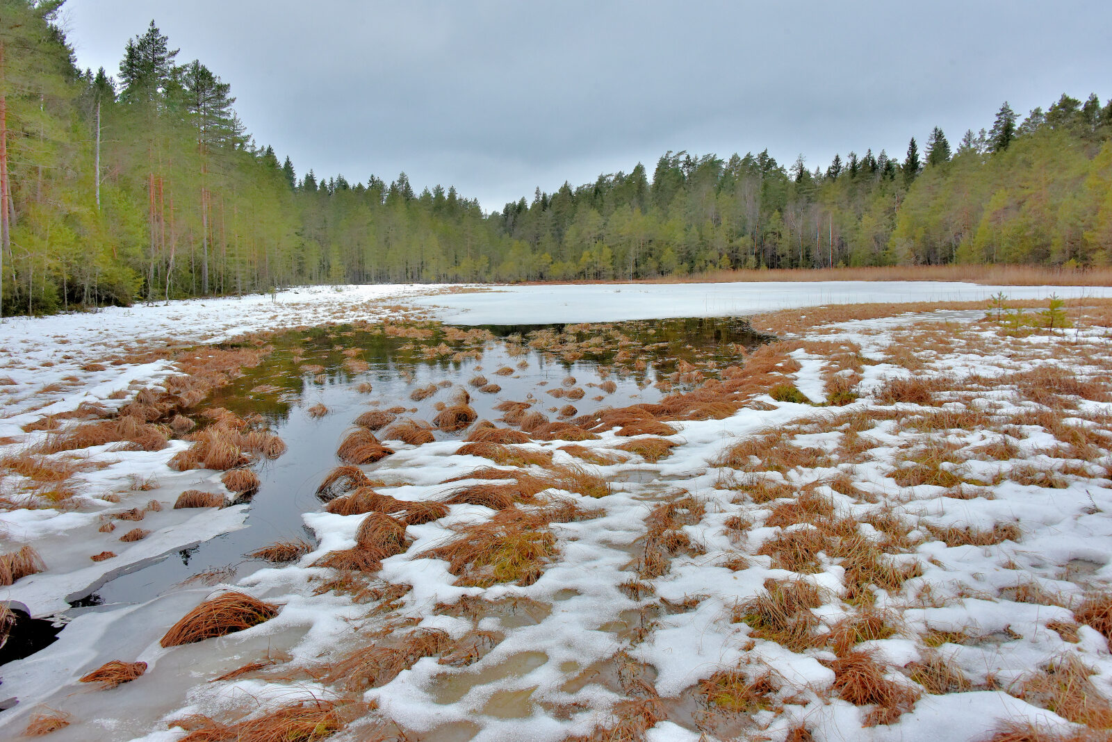 Valokuvaaja: Reijo Juurinen
