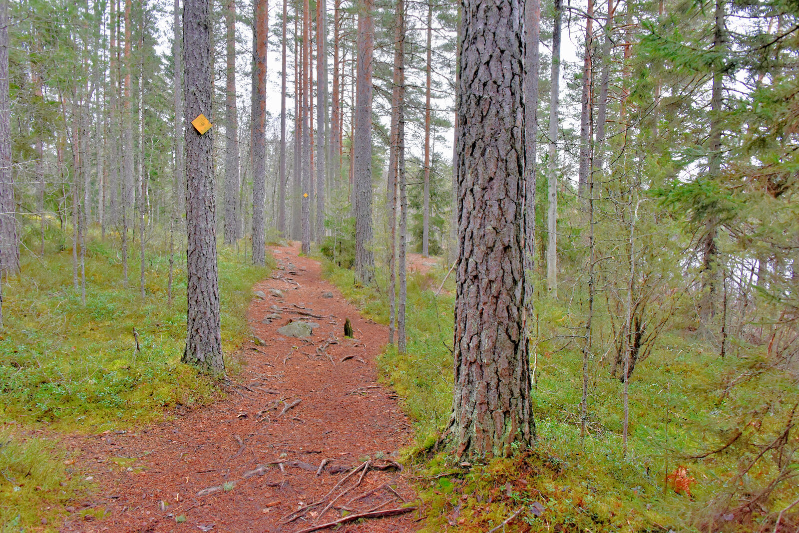 Valokuvaaja: Reijo Juurinen