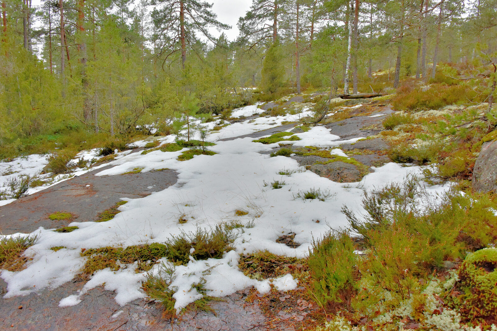 Valokuvaaja: Reijo Juurinen