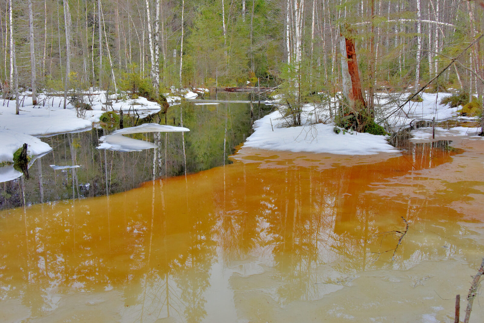 Valokuvaaja: Reijo Juurinen