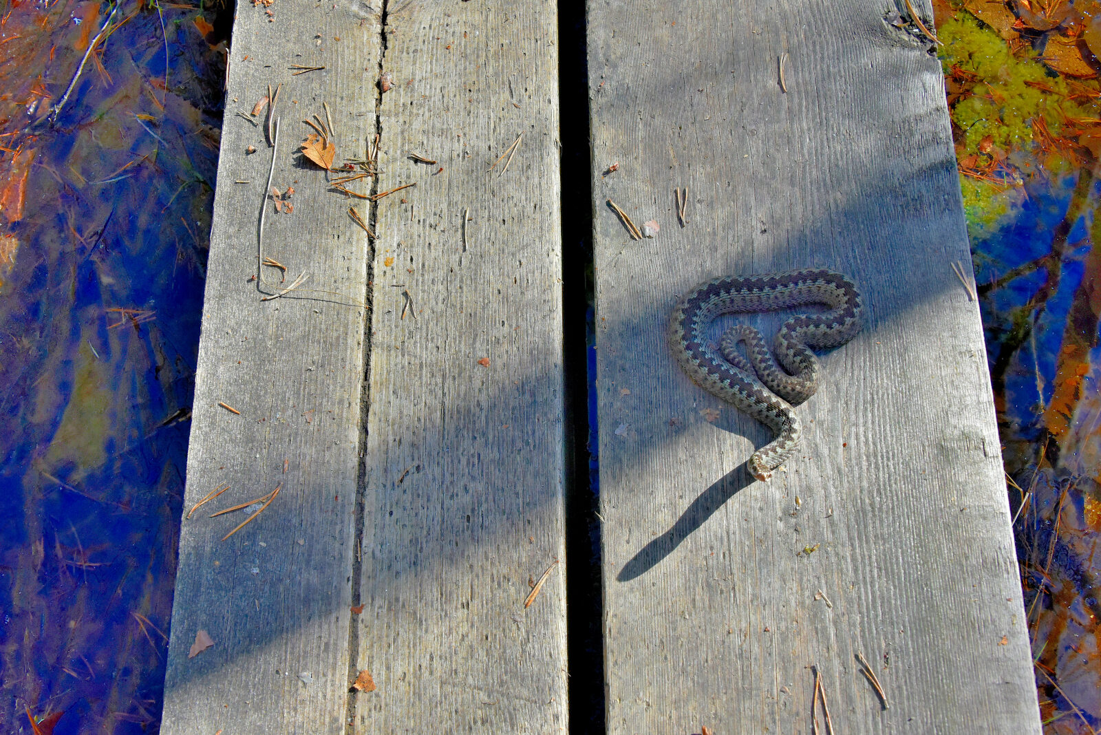 Valokuvaaja: Reijo Juurinen