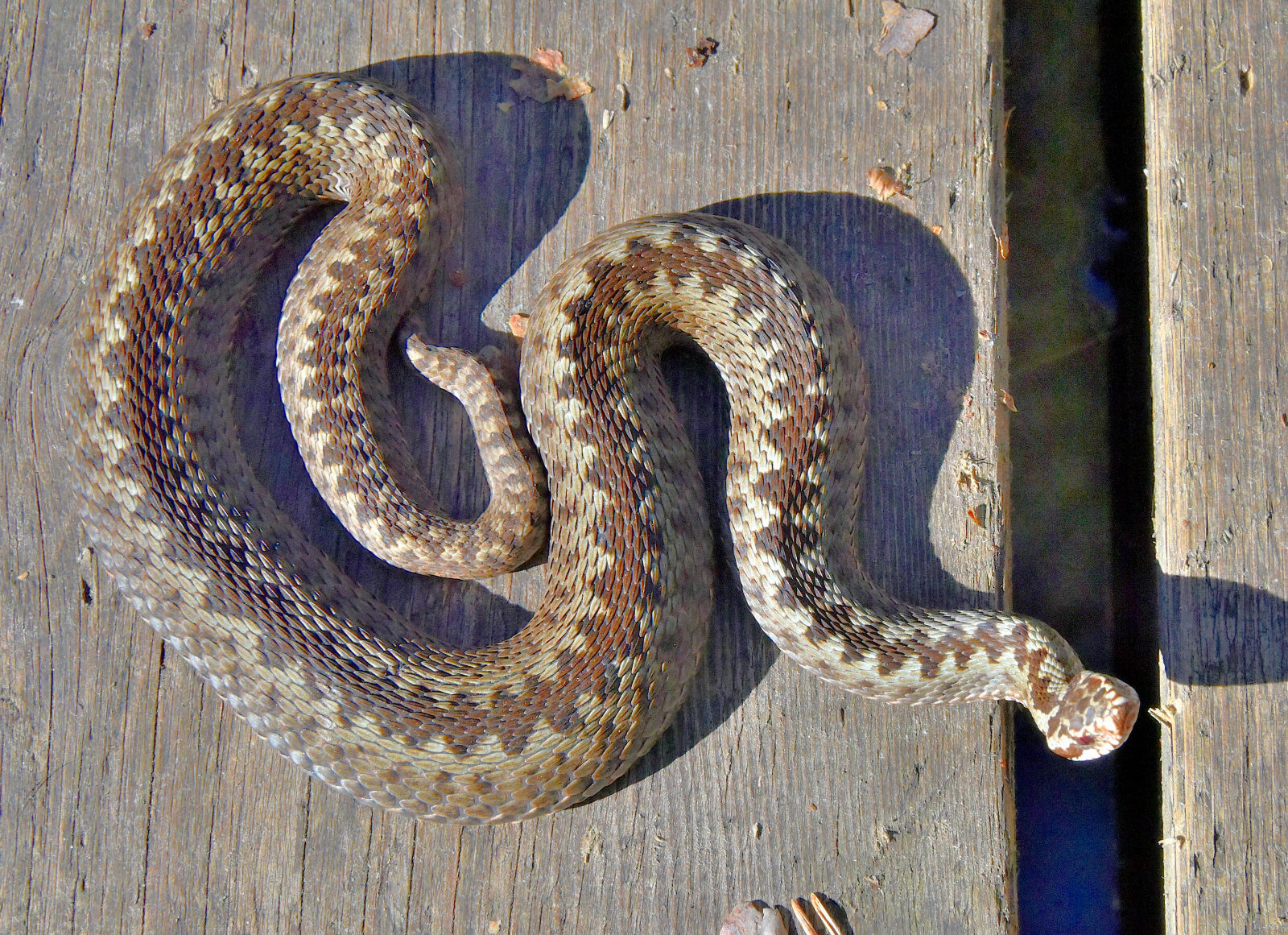 Valokuvaaja: Reijo Juurinen