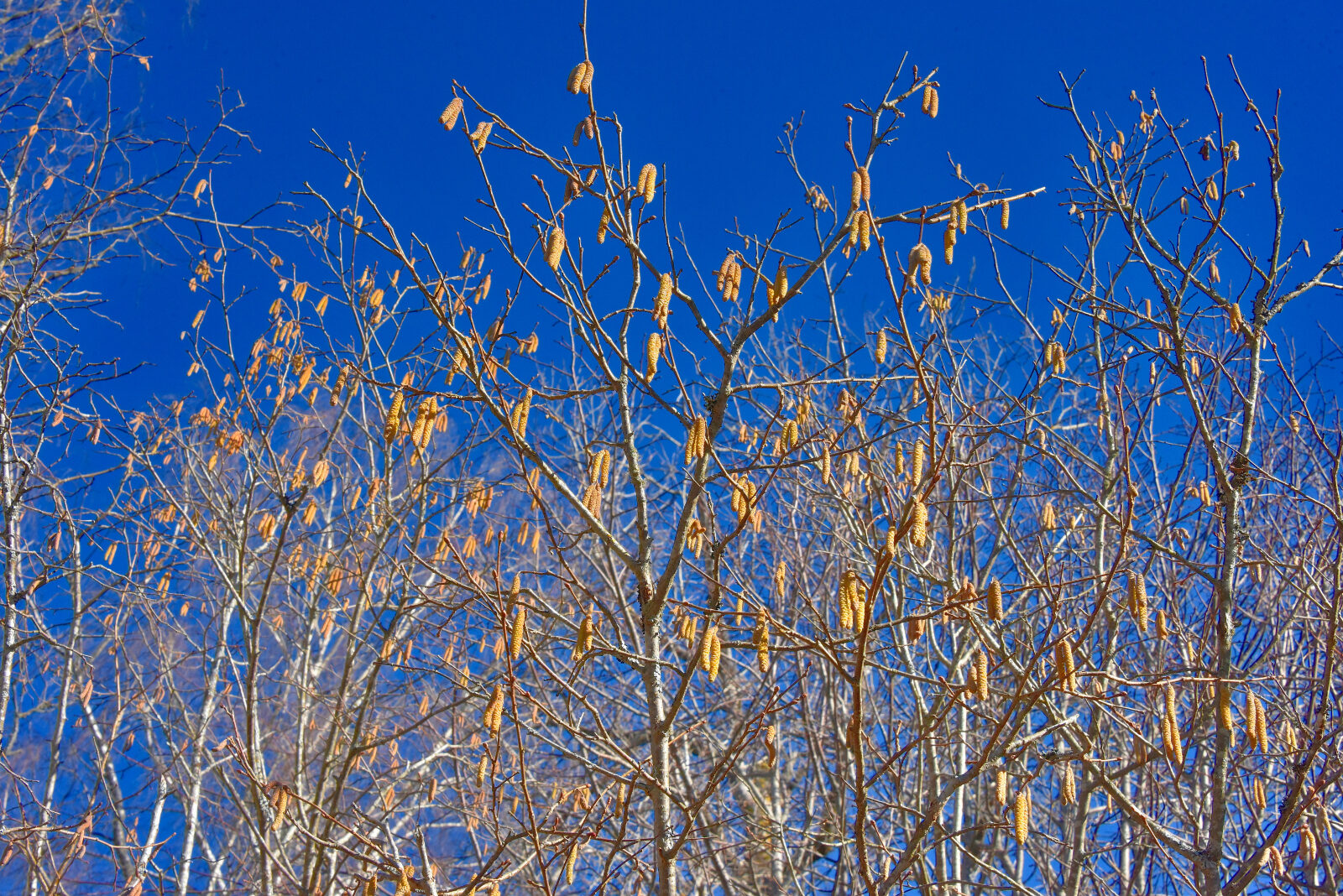 Valokuvaaja: Reijo Juurinen