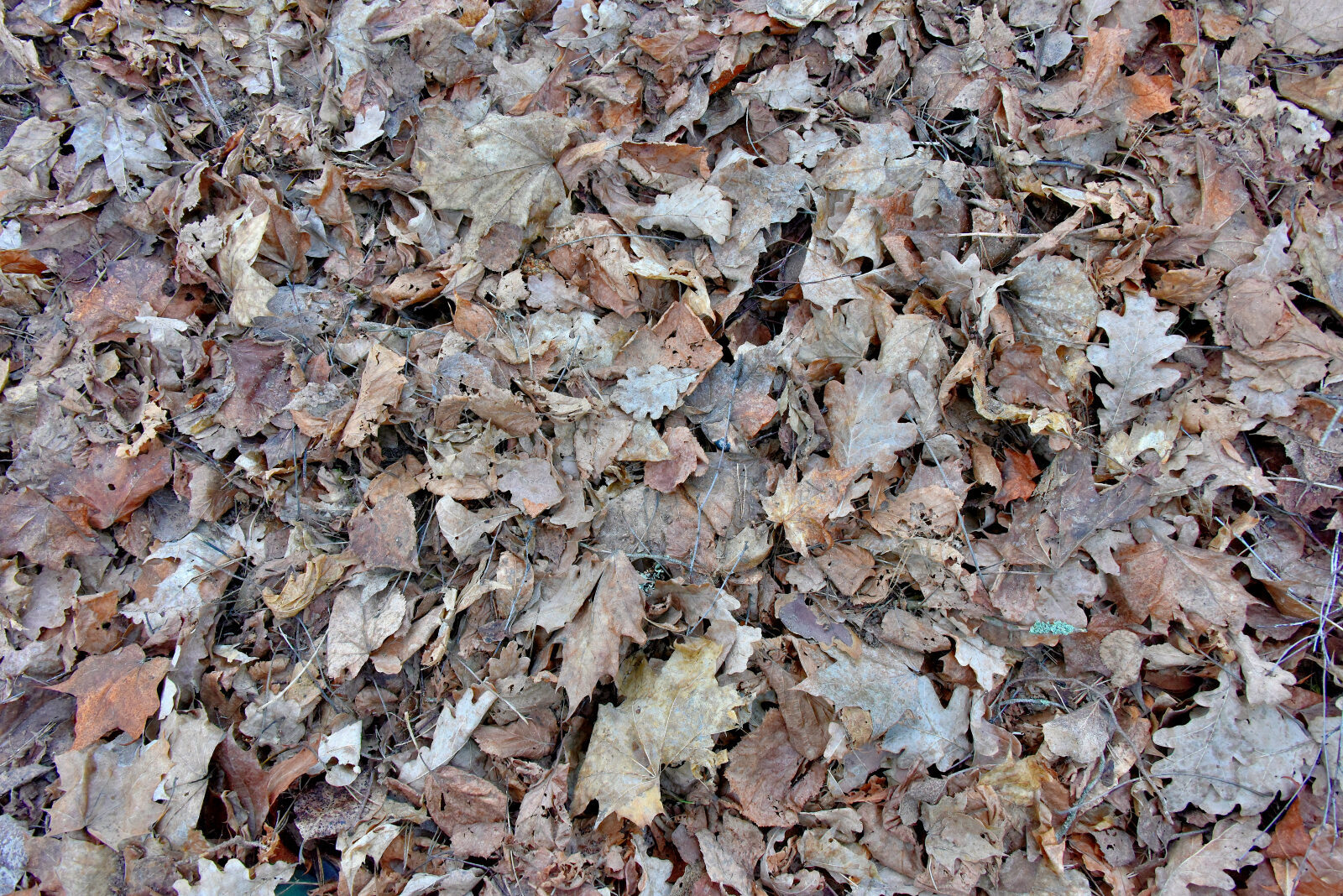 Valokuvaaja: Reijo Juurinen