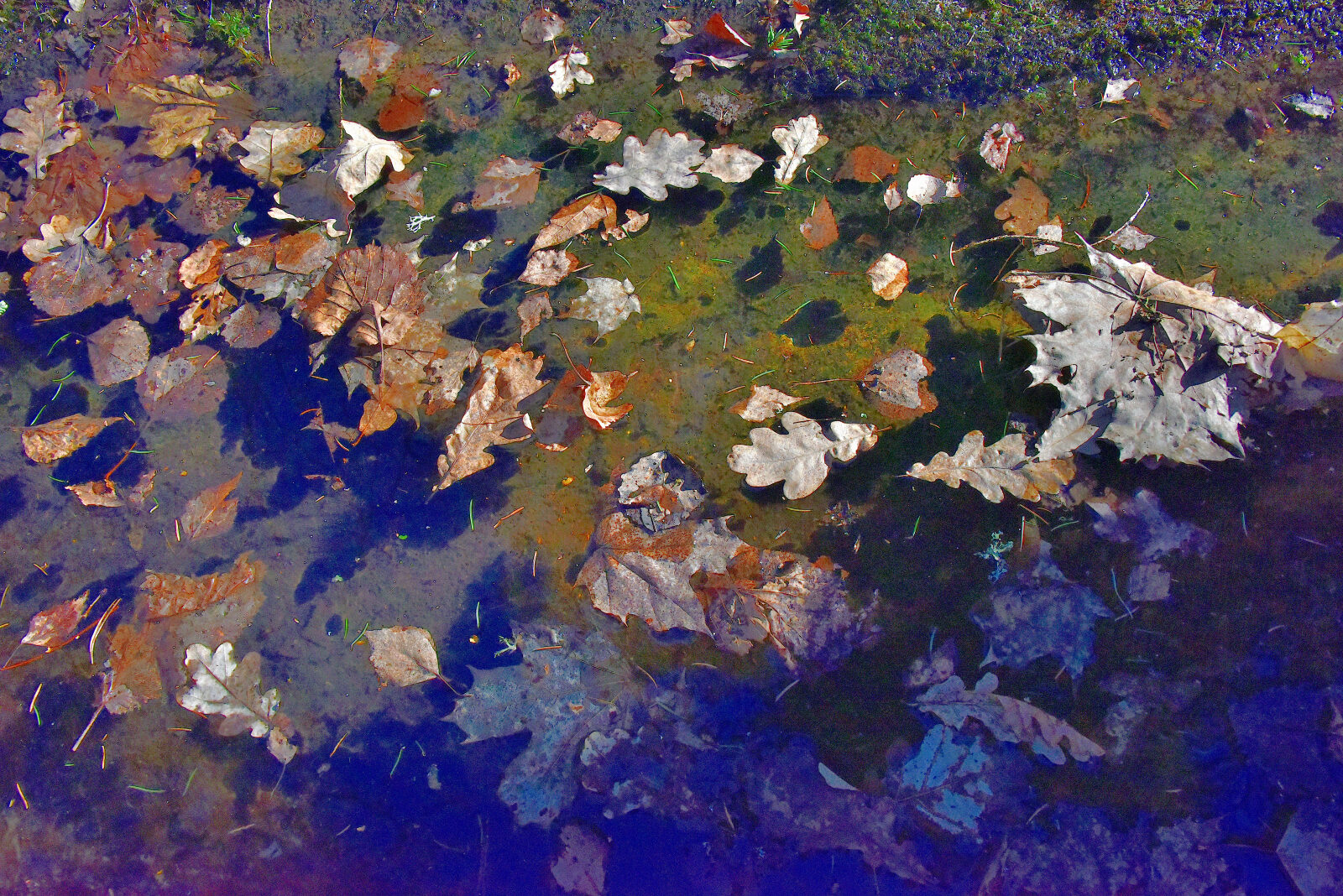 Valokuvaaja: Reijo Juurinen