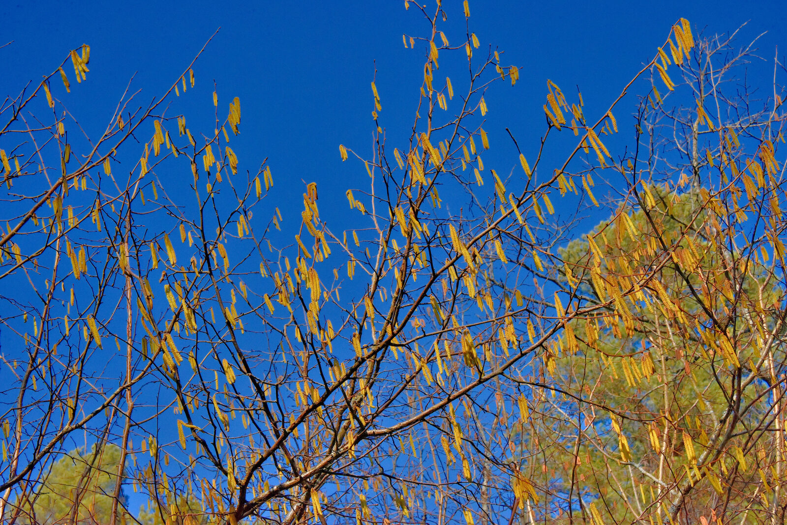 Valokuvaaja: Reijo Juurinen