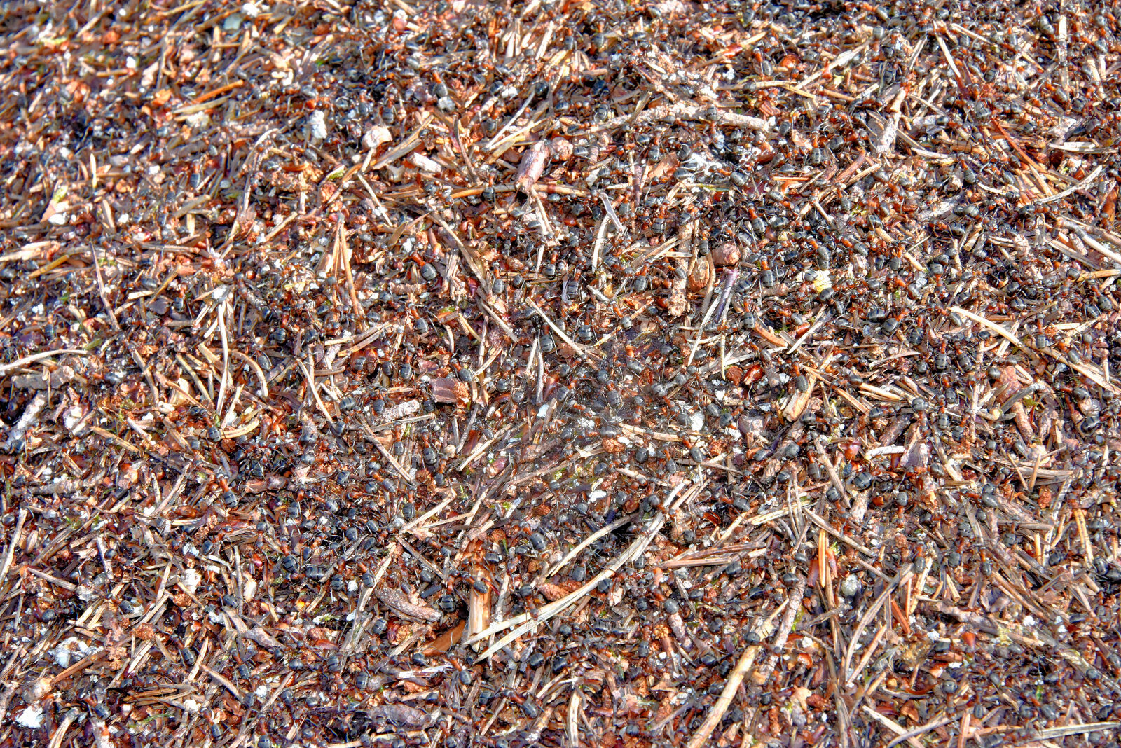 Valokuvaaja: Reijo Juurinen