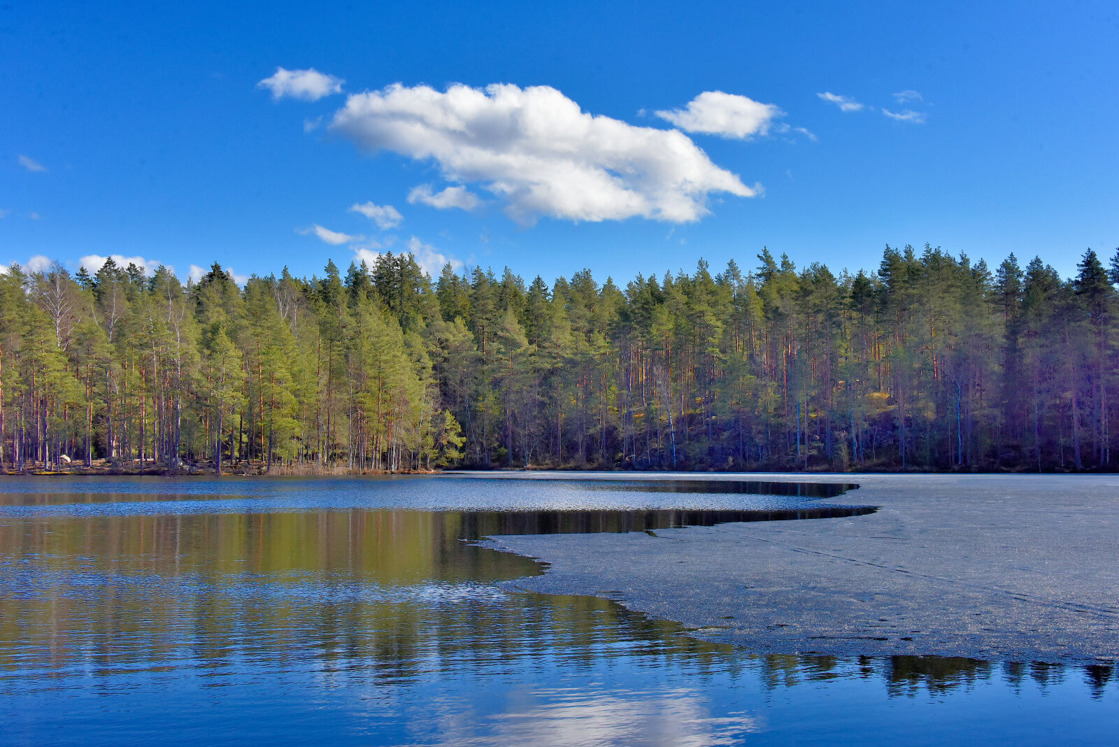 Valokuvaaja: Reijo Juurinen