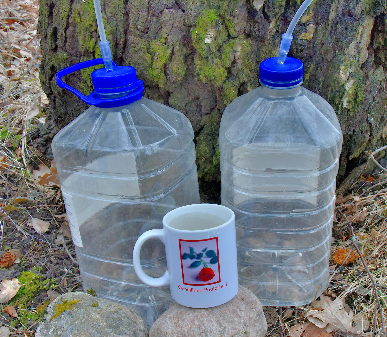 Valokuvaaja: Reijo Juurinen