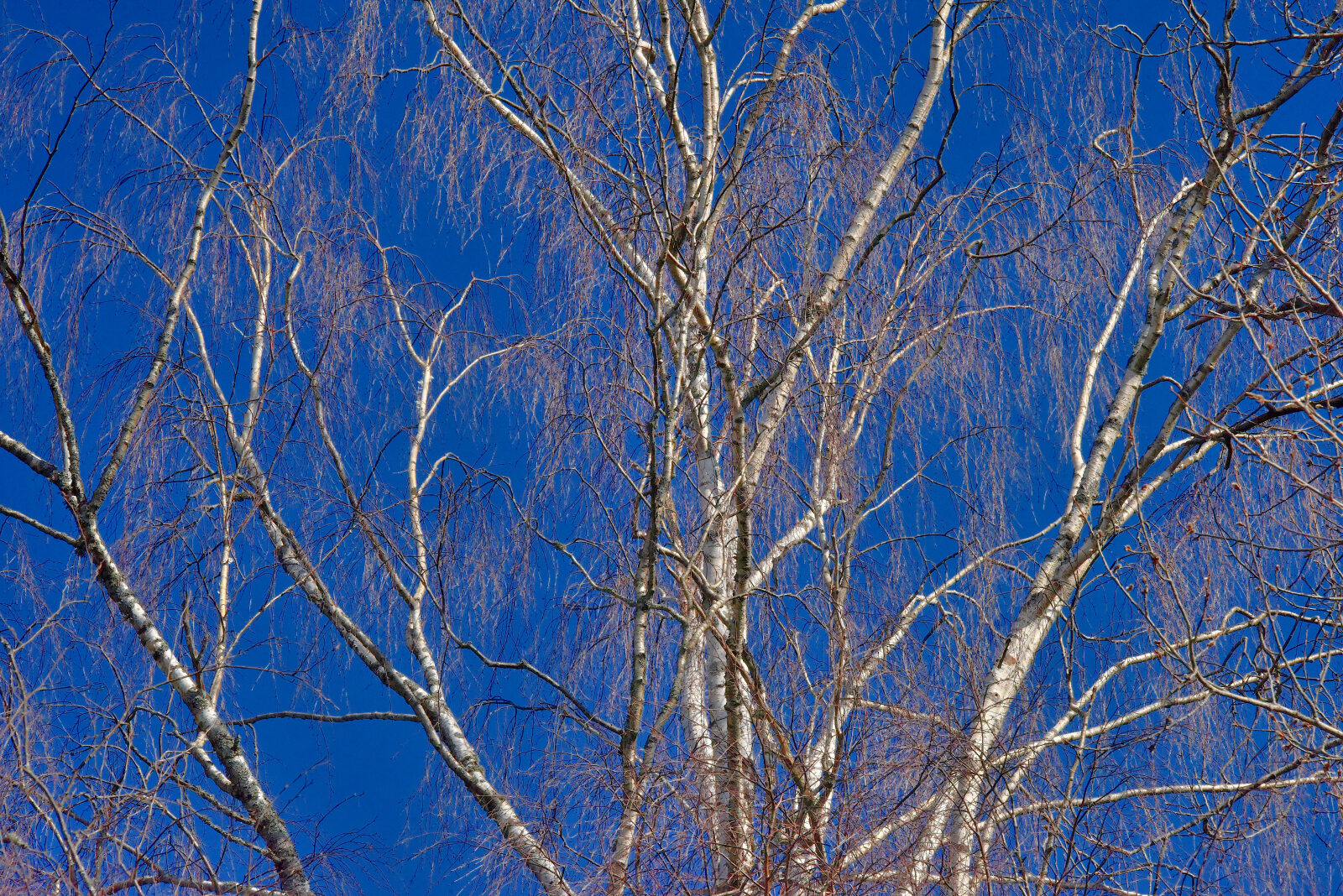 Valokuvaaja: Reijo Juurinen