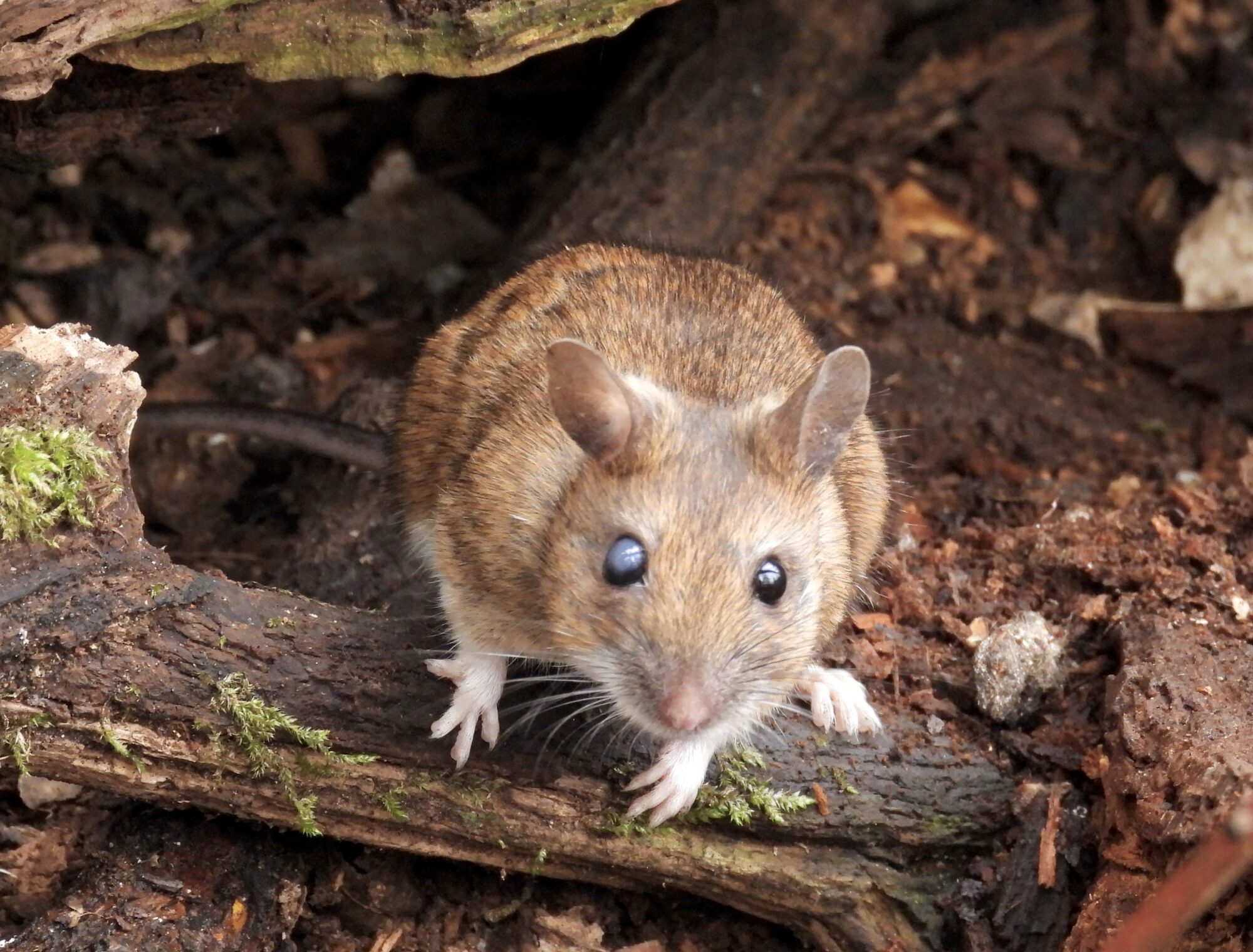 Valokuvaaja: Juhani Peltonen