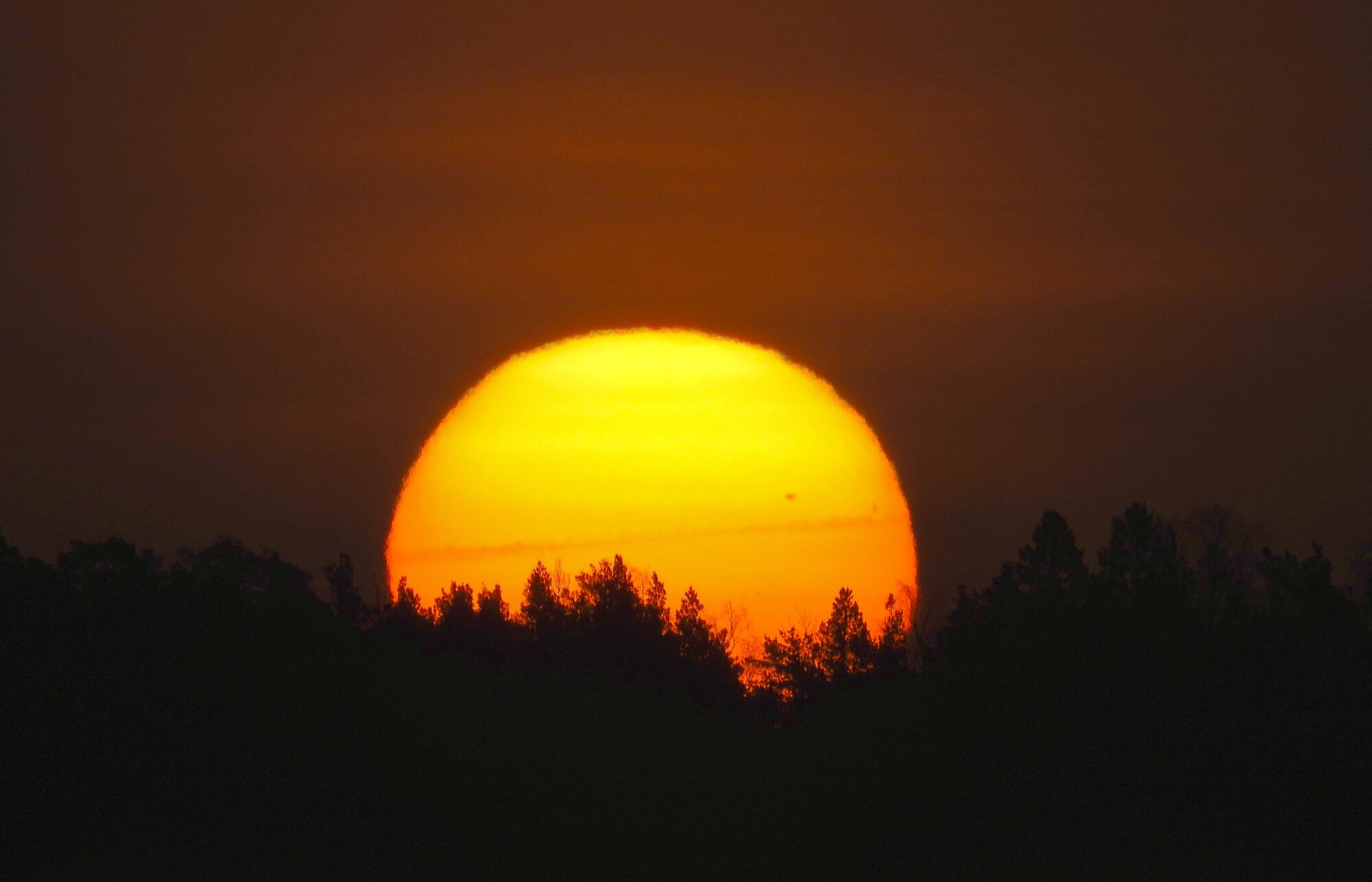 Valokuvaaja: Juhani Peltonen