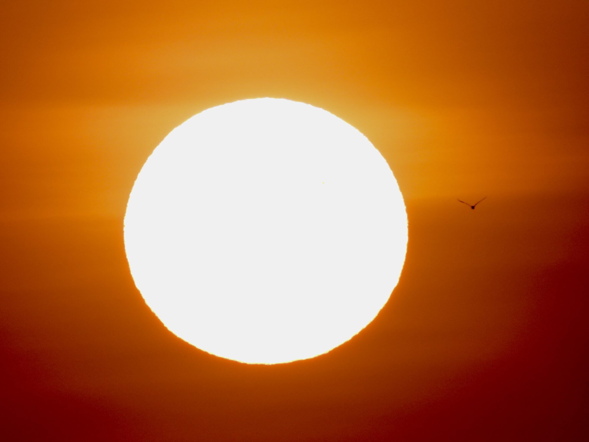 Valokuvaaja: Juhani Peltonen