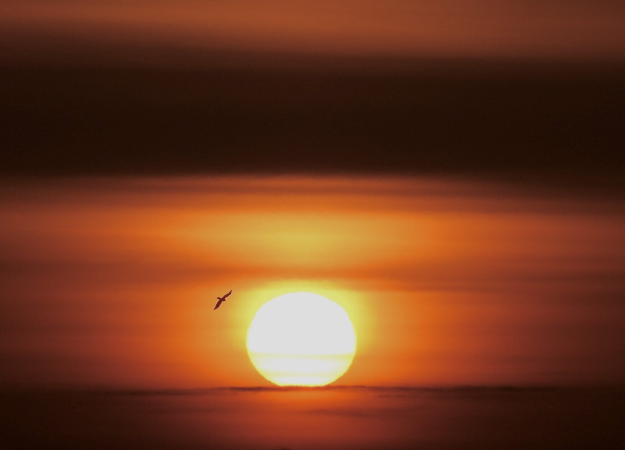 Valokuvaaja: Juhani Peltonen