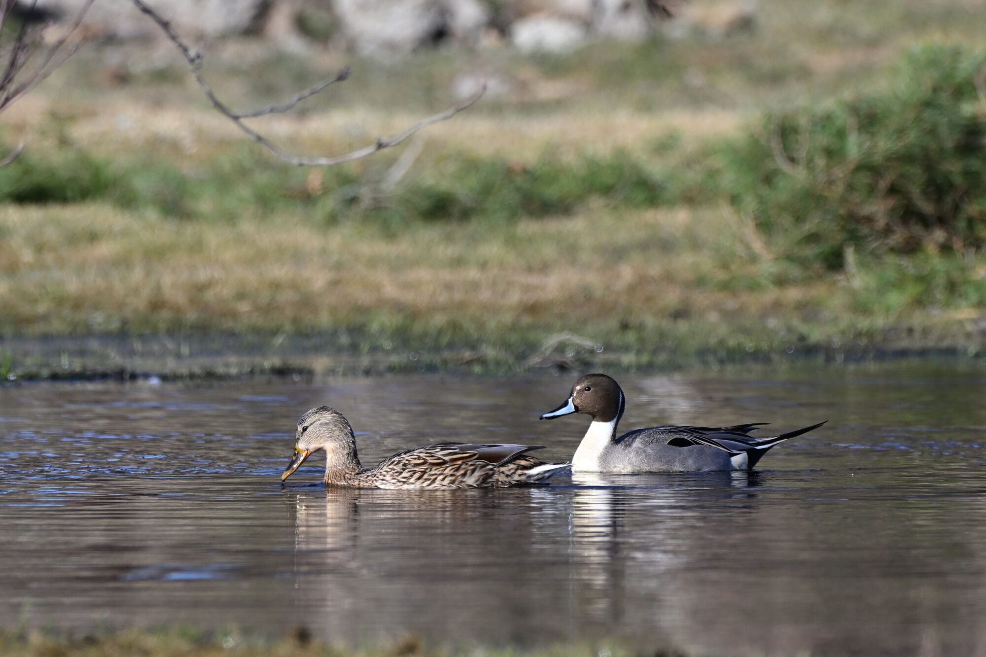 Valokuvaaja: Asko Heikkinen