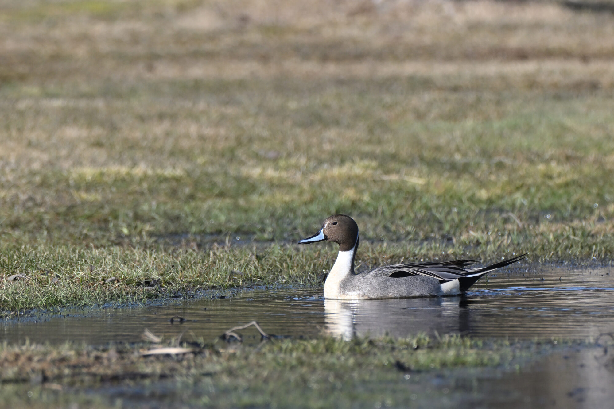 Valokuvaaja: Asko Heikkinen