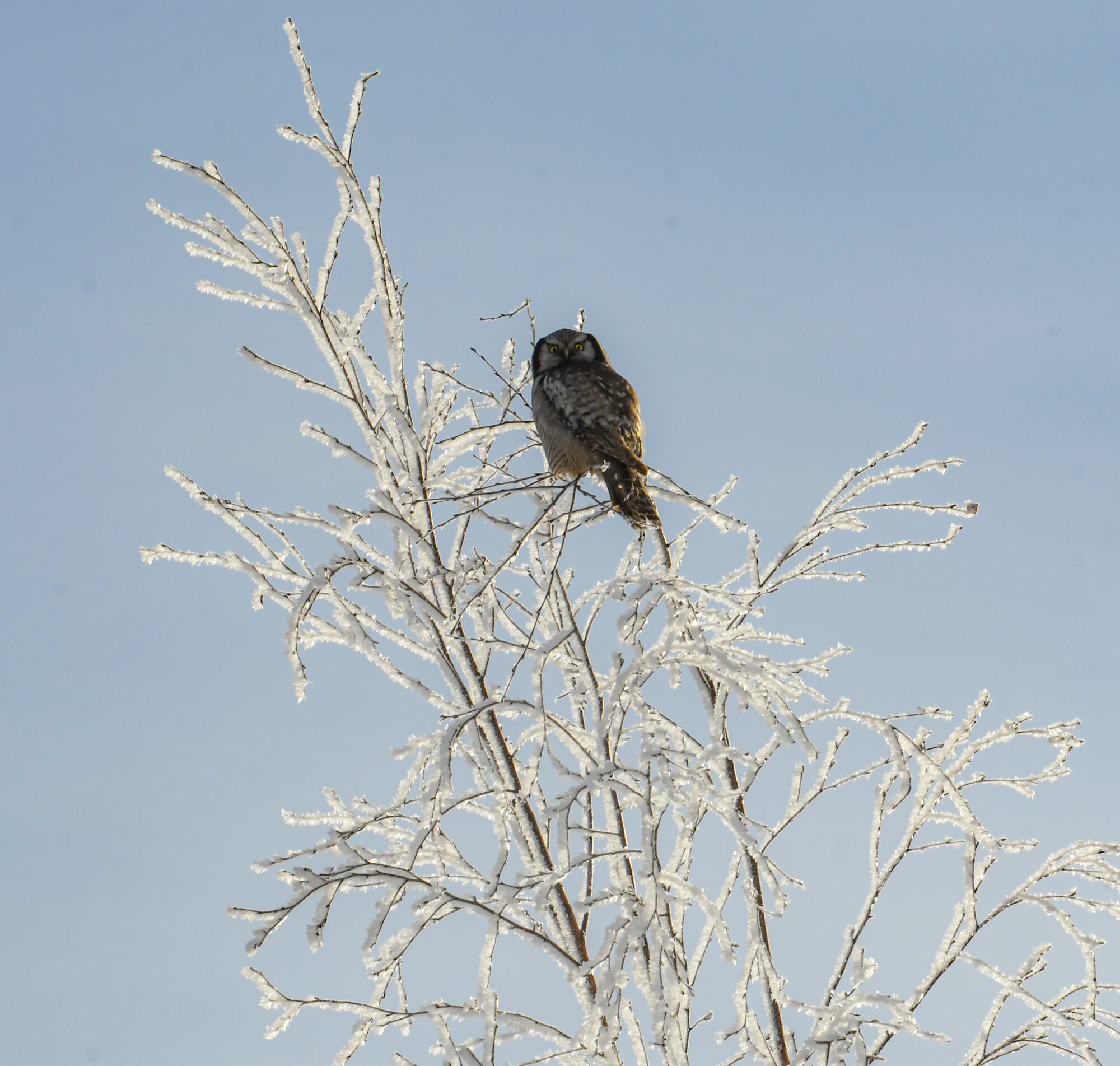 Valokuvaaja: Maija Savolainen