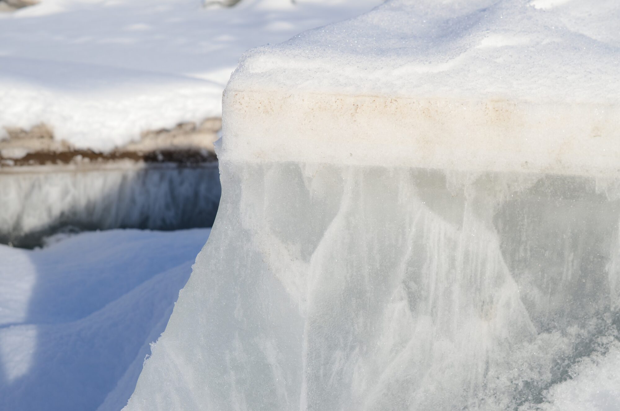 Valokuvaaja: Saara Keinonen