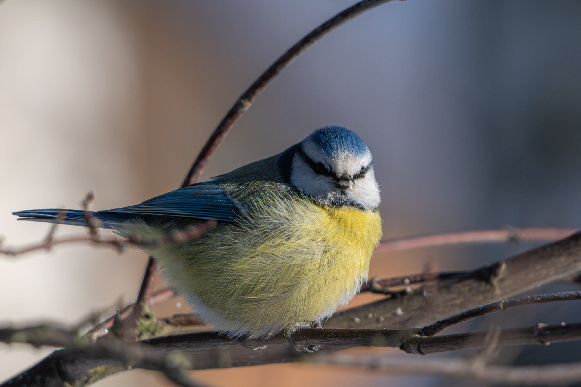 Valokuvaaja: Markku Saarinen