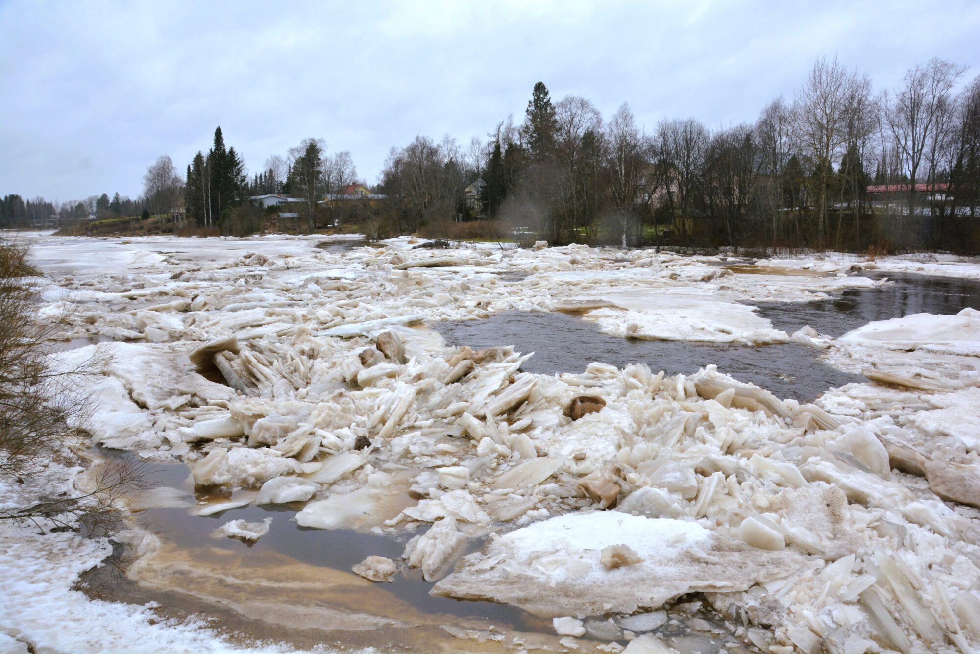 Valokuvaaja: Reijo Kärkkäinen