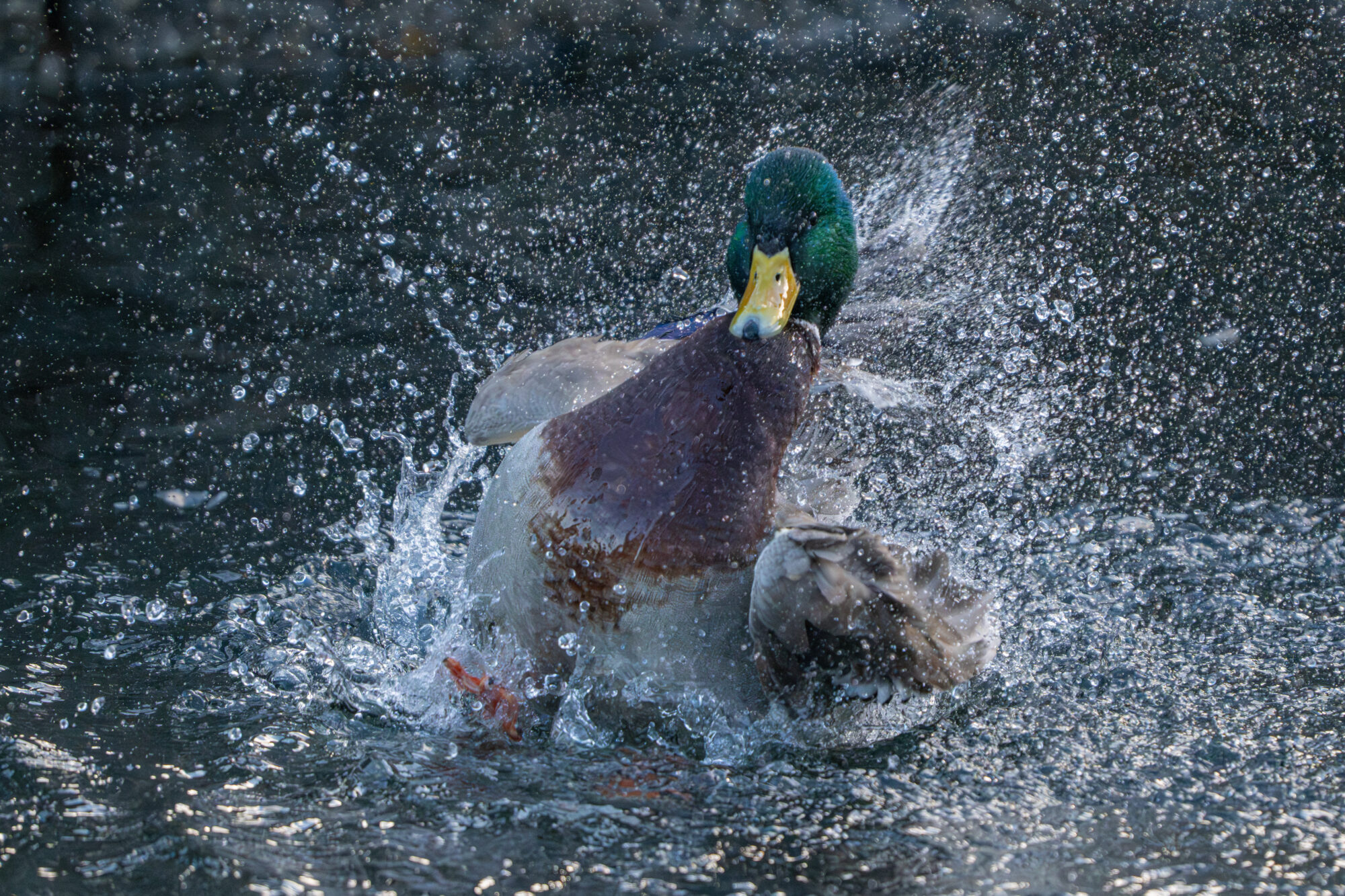 Valokuvaaja: Markku Saarinen