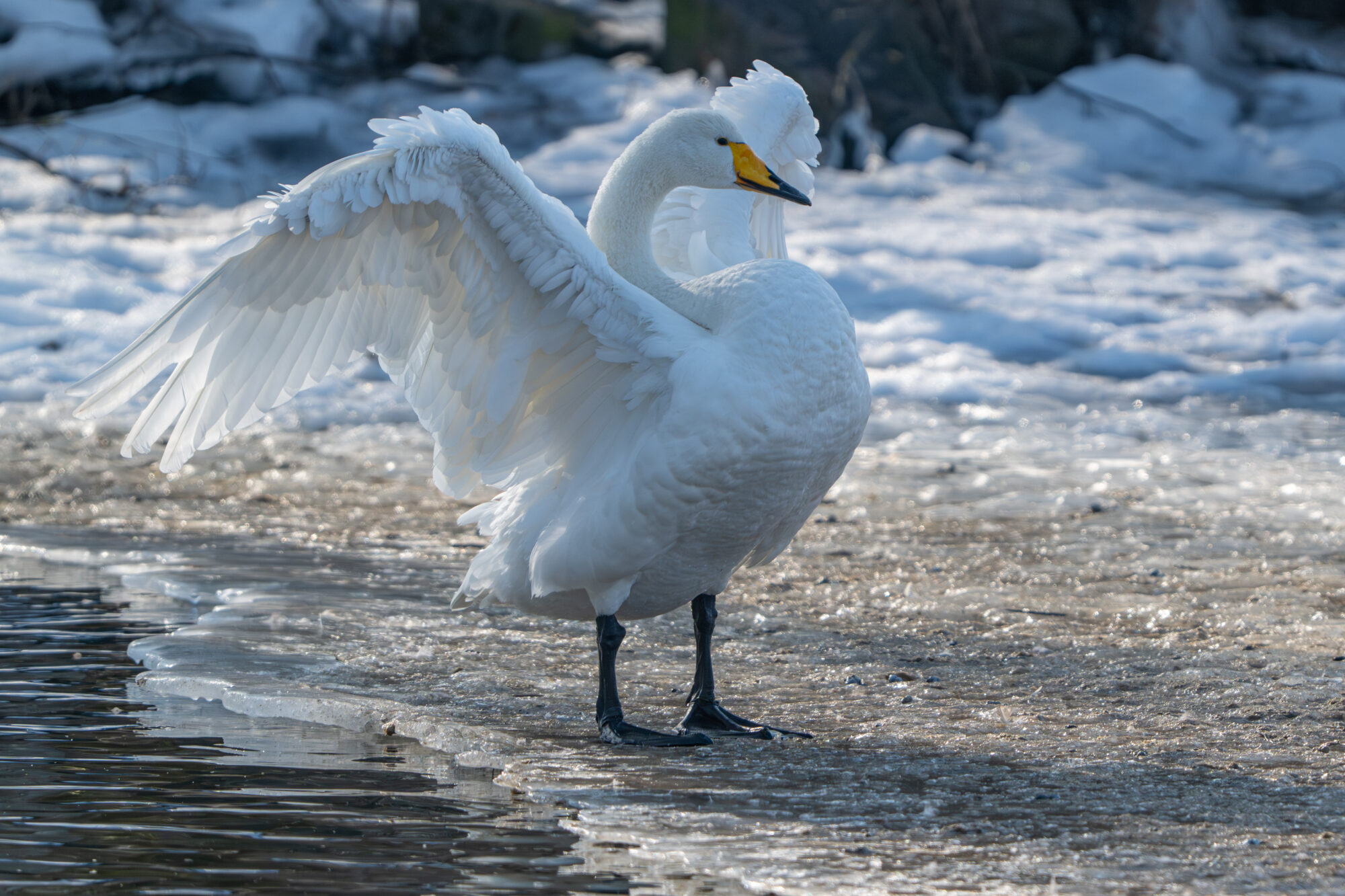 Valokuvaaja: Markku Saarinen