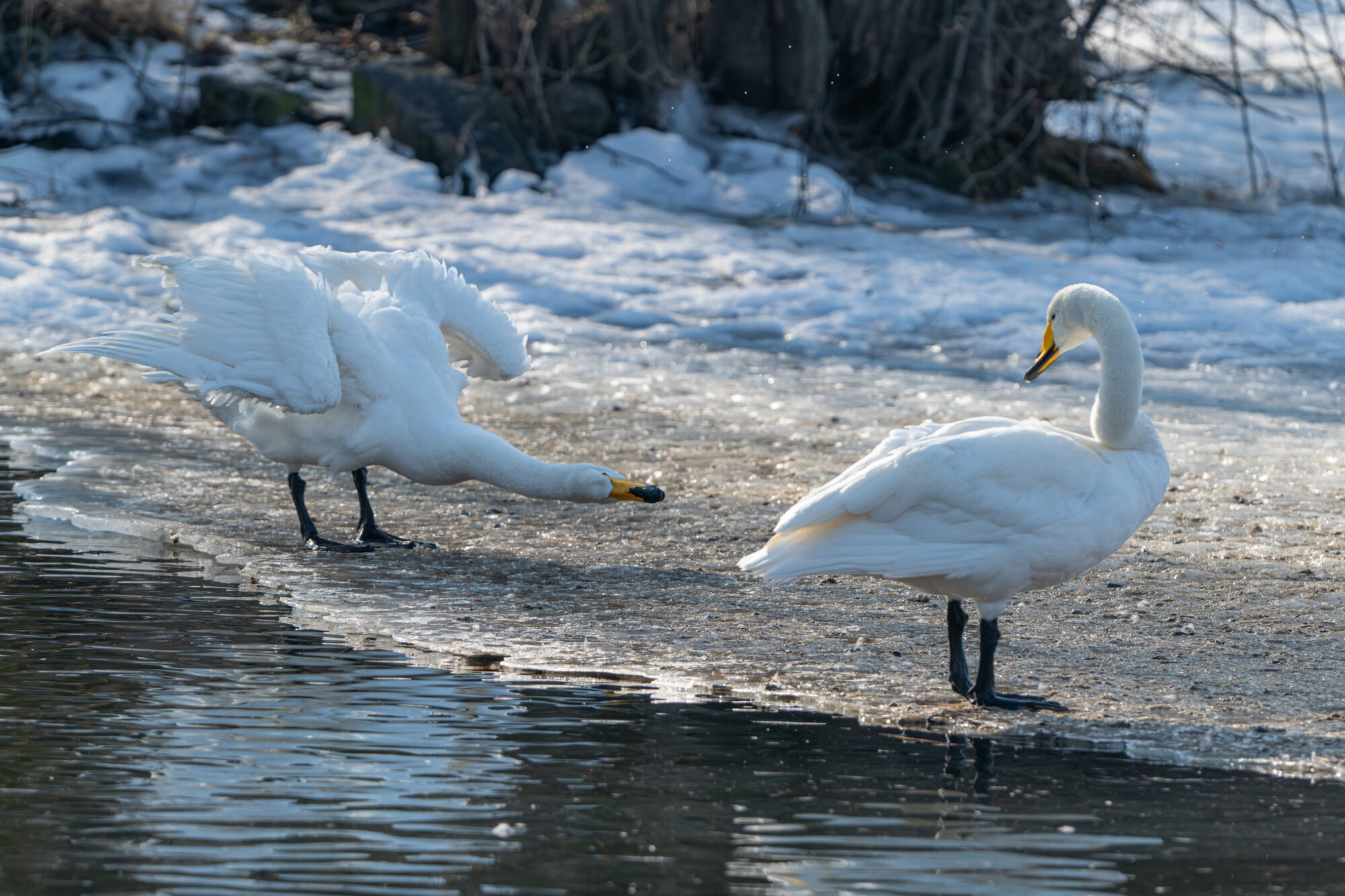 Valokuvaaja: Markku Saarinen