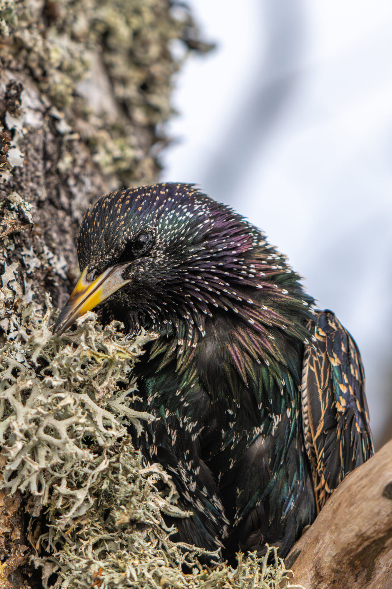 Valokuvaaja: Markku Saarinen