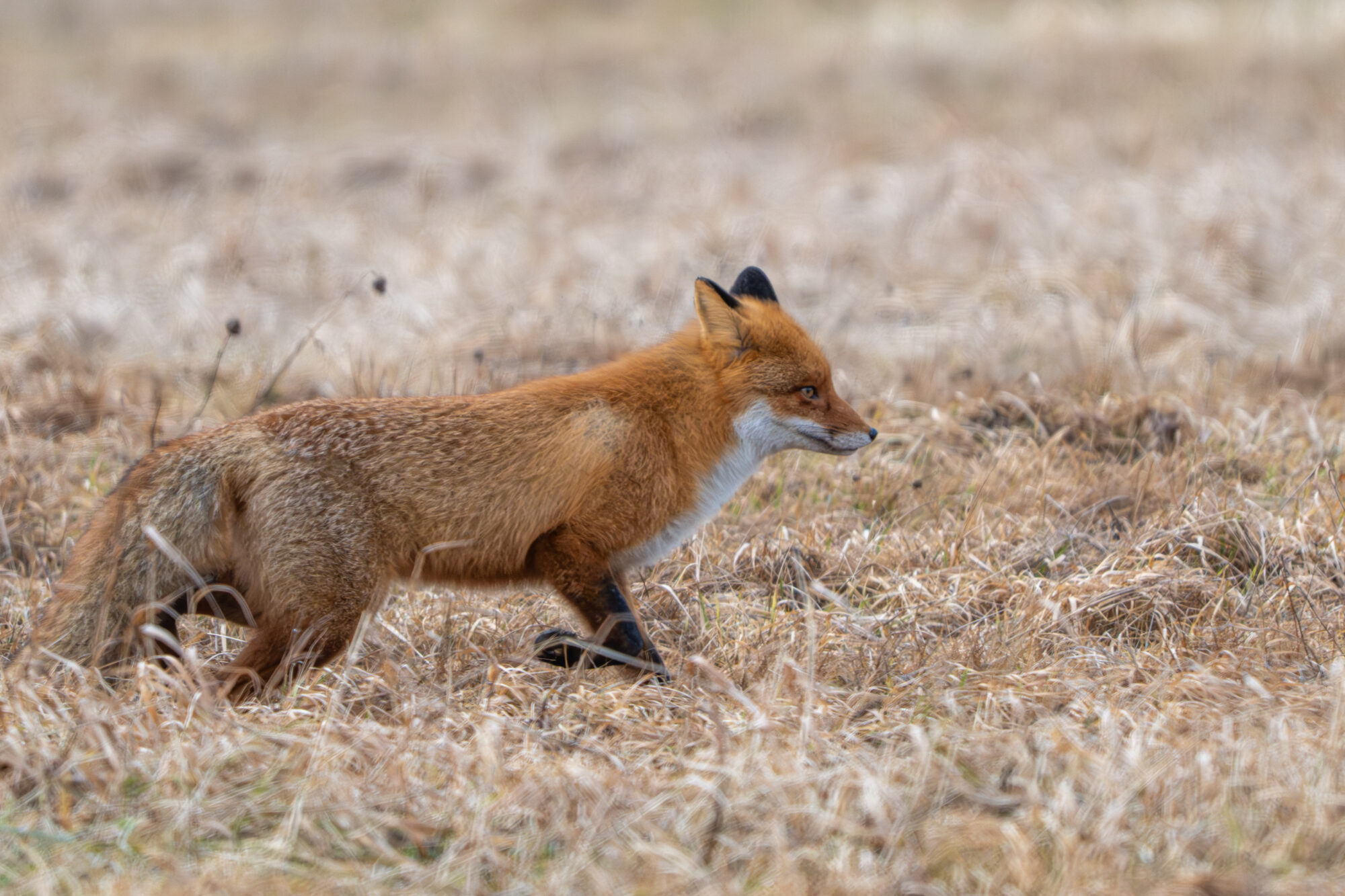 Valokuvaaja: Markku Saarinen