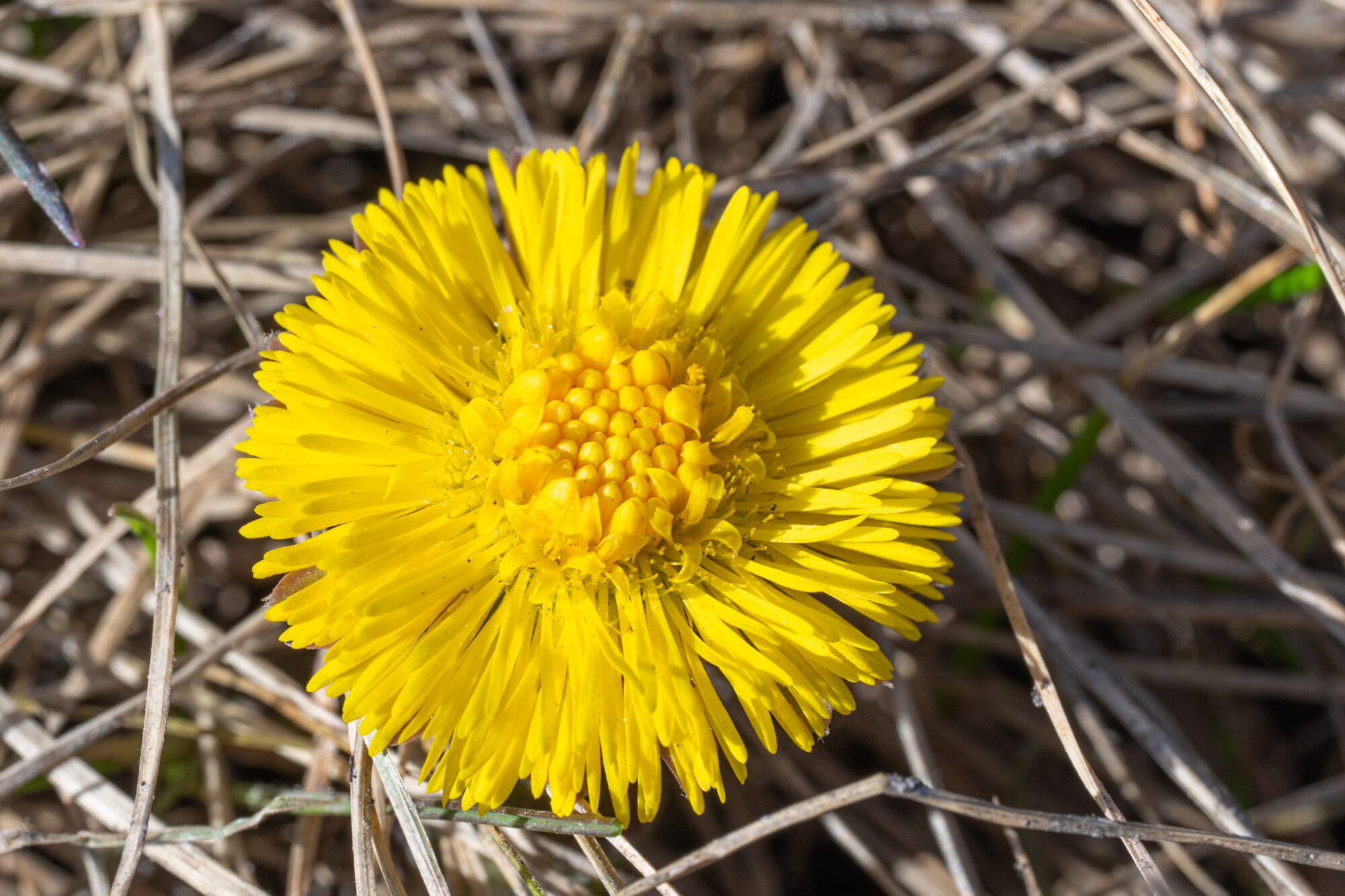 Valokuvaaja: Markku Saarinen